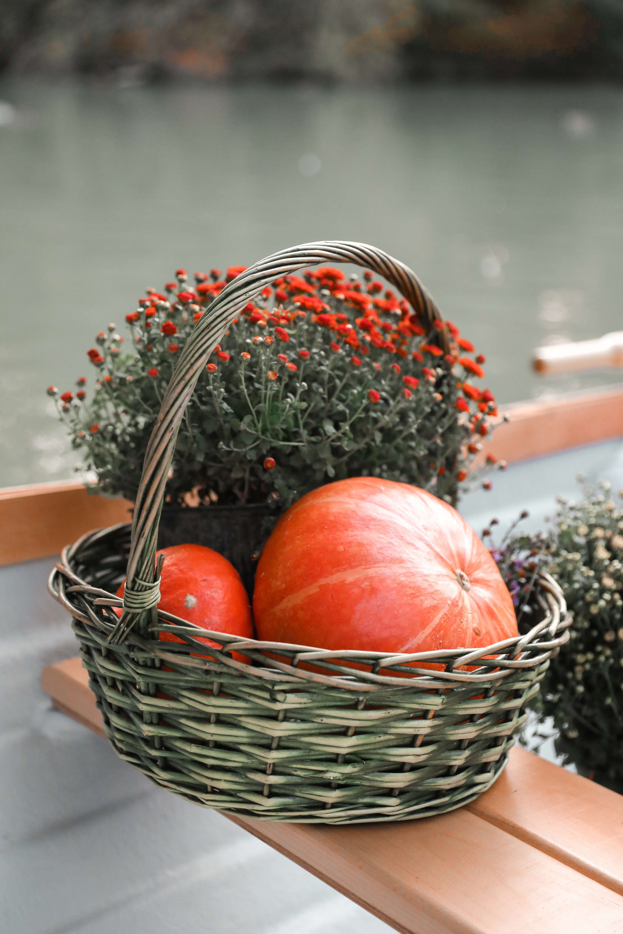 ПРОЕКТ «ЦВЕТОЧНАЯ ЛОДКА». Photographer Viktoriya Markushina «My world throug»