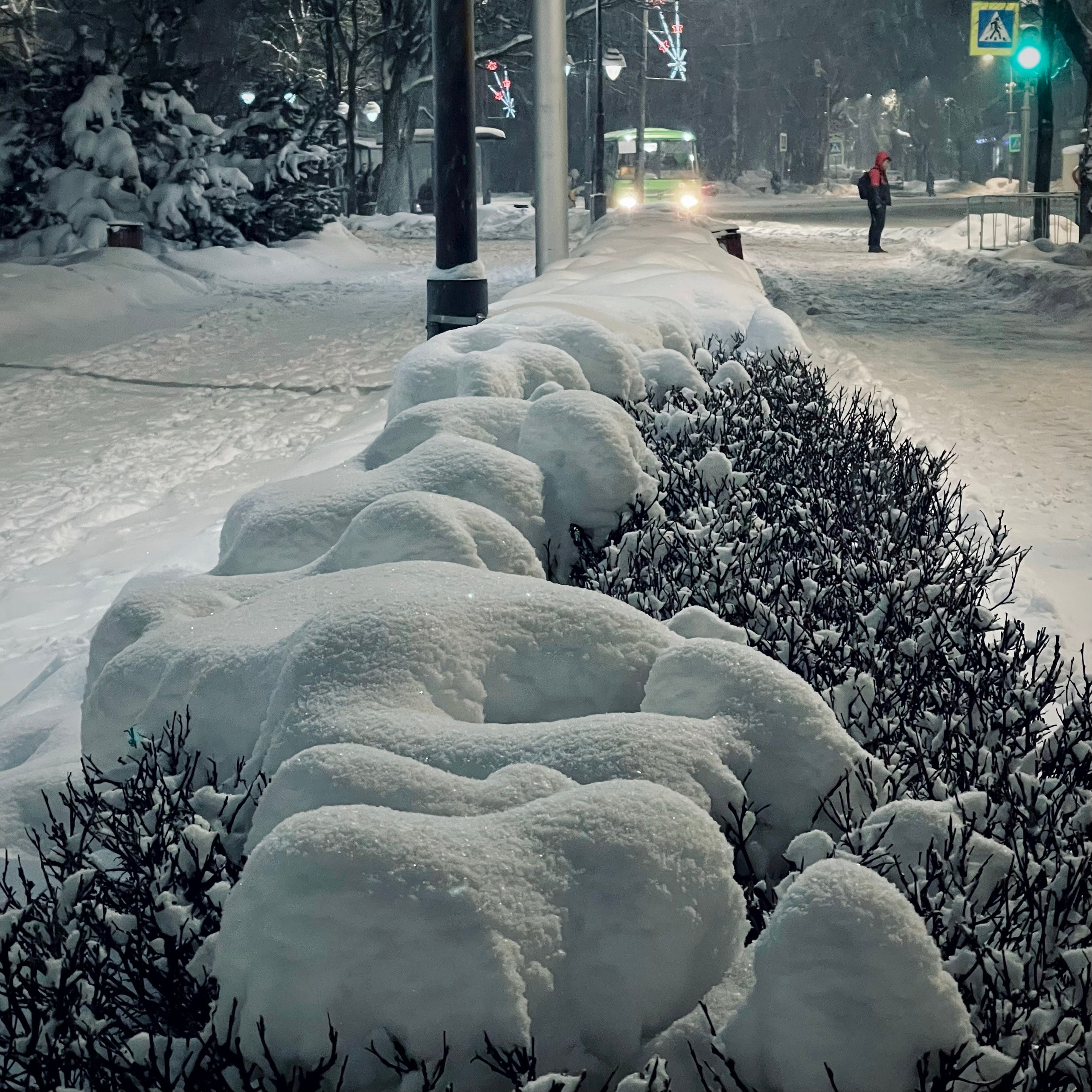 Стрит-фотография, пейзаж. Фотограф в Пскове и Санкт-Петербурге Татьяна Рейнелл