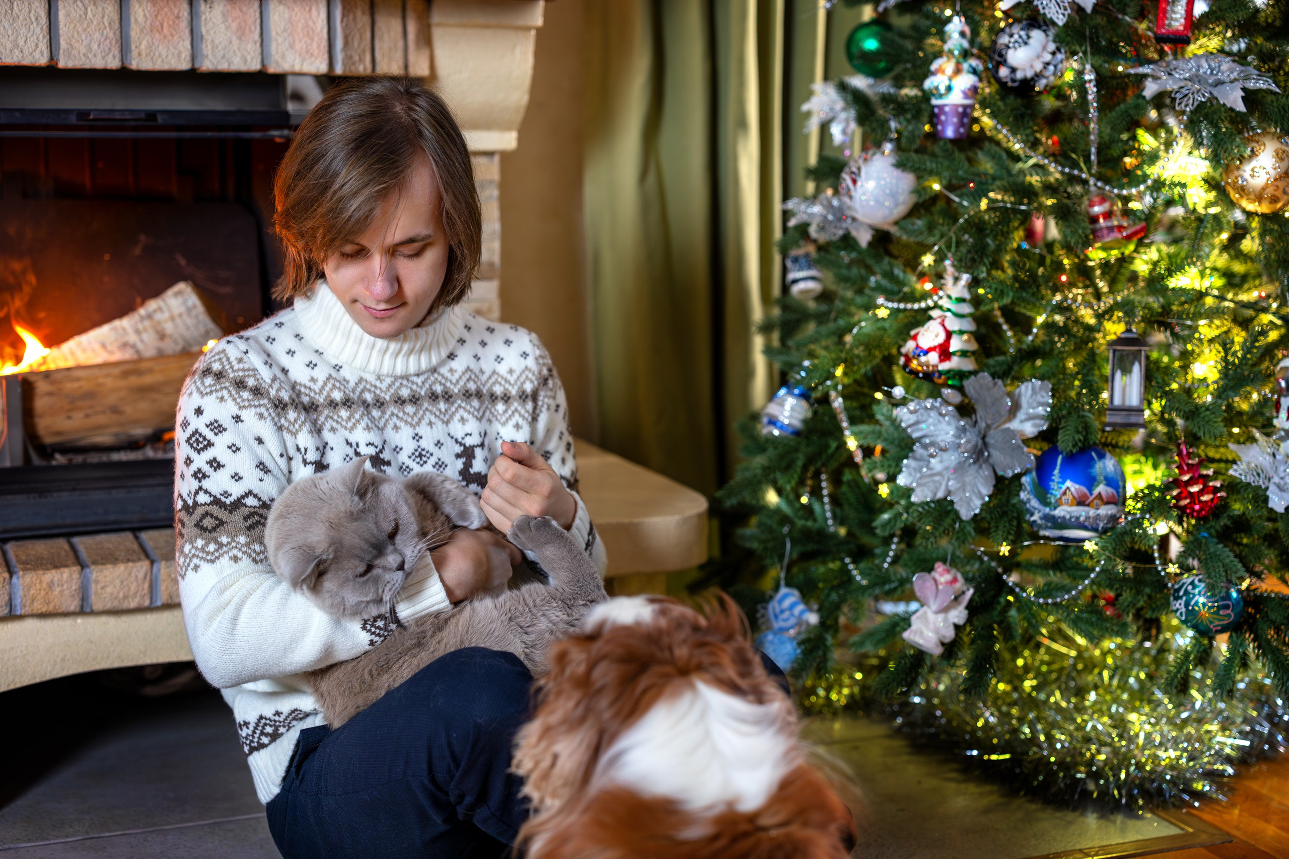 Новогодние чудесатости. Семейный и детский фотограф в Красноярске, Дивногорцева Светлана