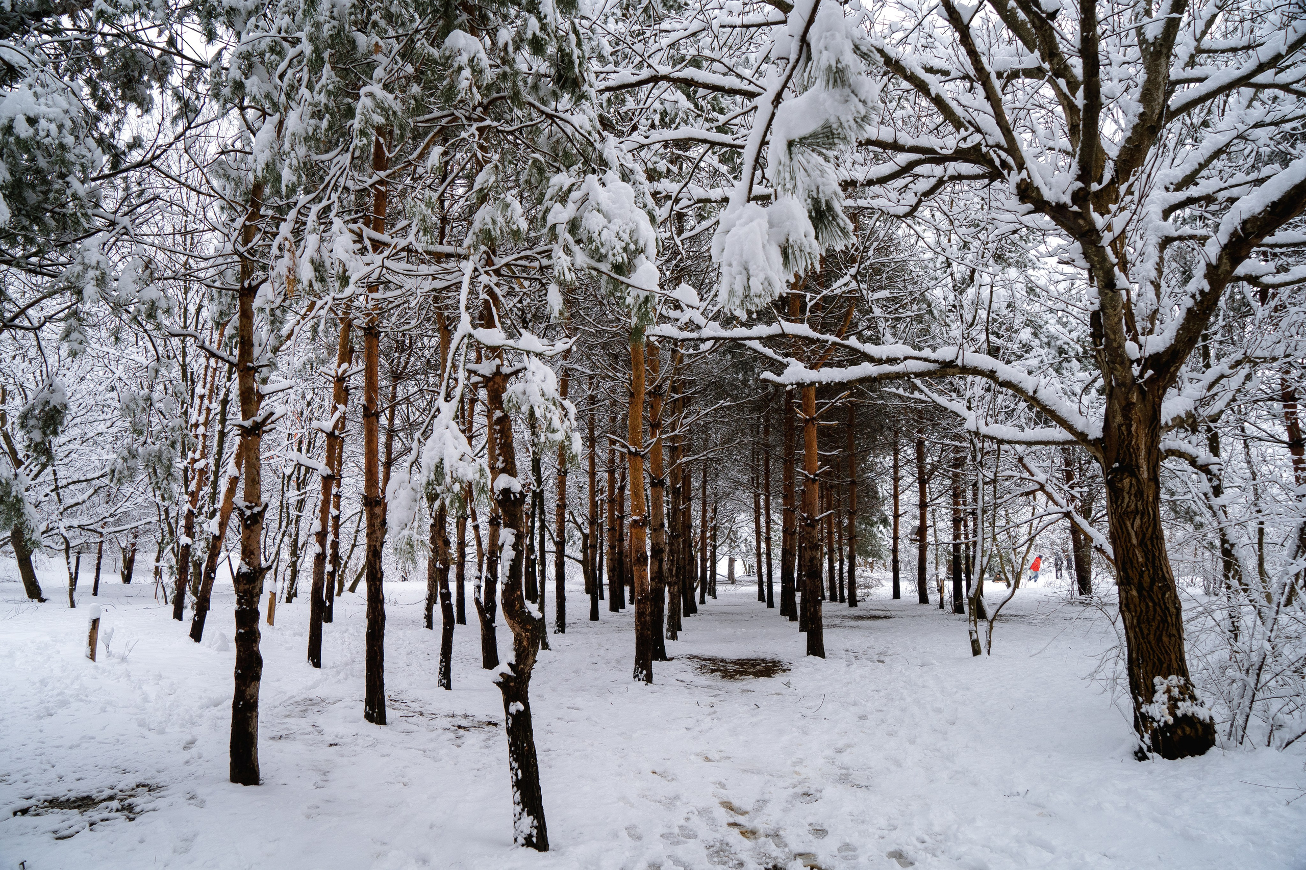 Зима 2024. Свадебный и семейный фотограф/видеограф в Краснодаре Наталья Осинская