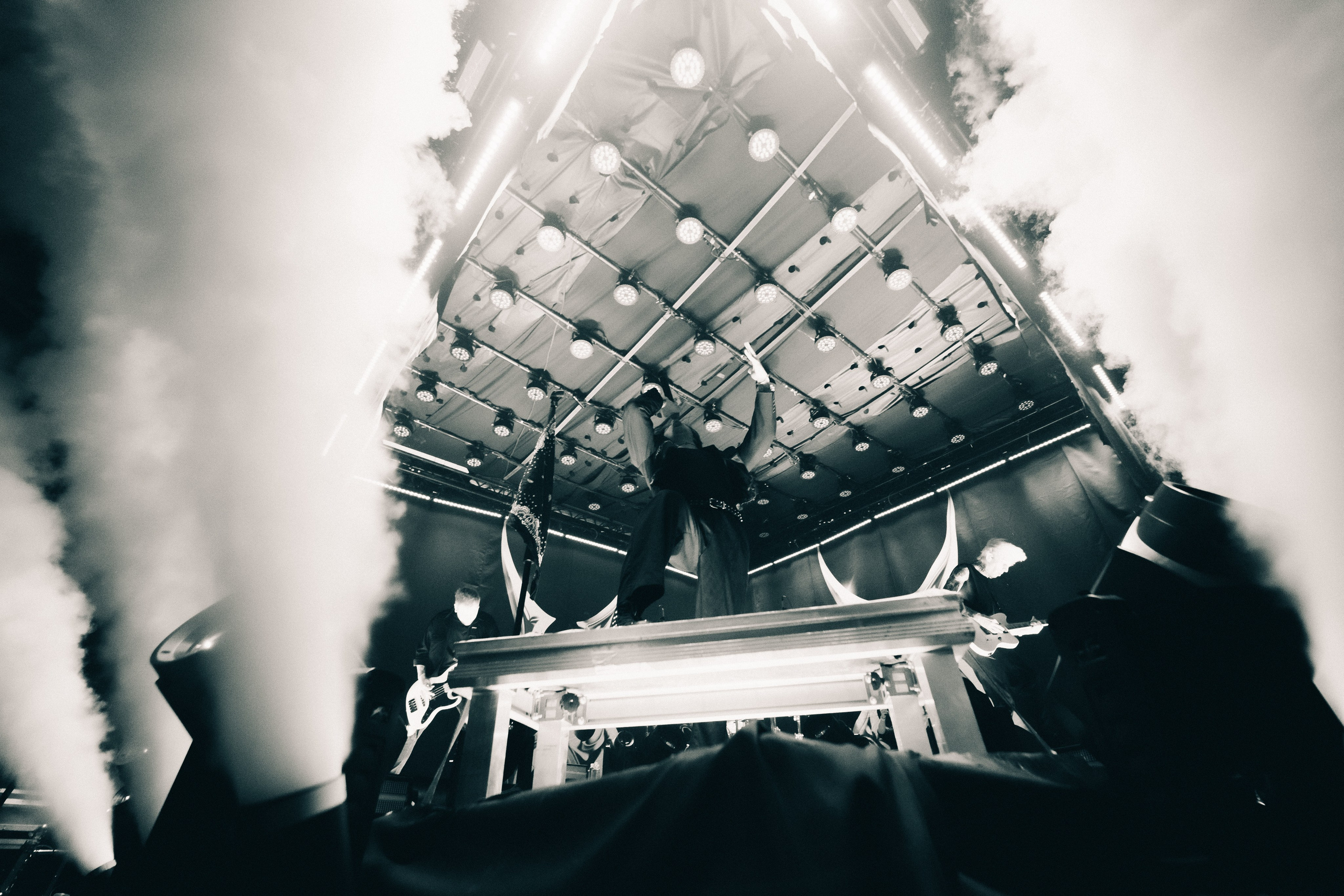 WILDWAYS. PASHAHARCE PHOTOGRAPHER & VIDEOGRAPHER