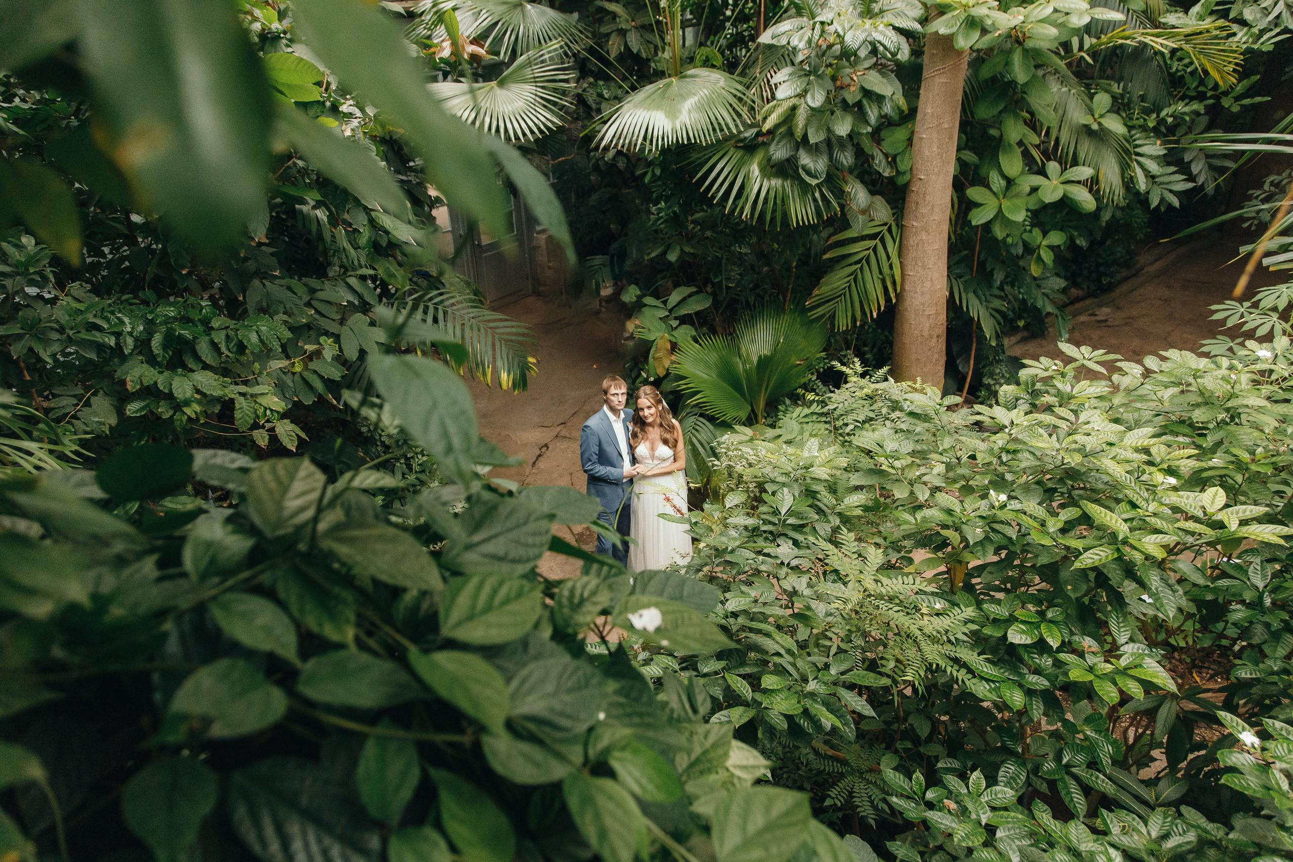 Свадебная фотосъёмка в красивой теплице на ВДНХ. Свадебный фотограф Александр Абрамов Москва / Зеленоград