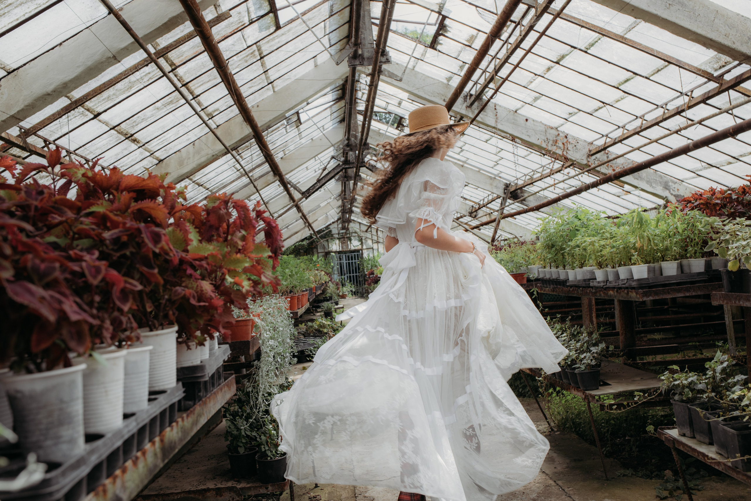 Оранжерея. Репортажный фотограф в Сочи Екатерина Вежливцева