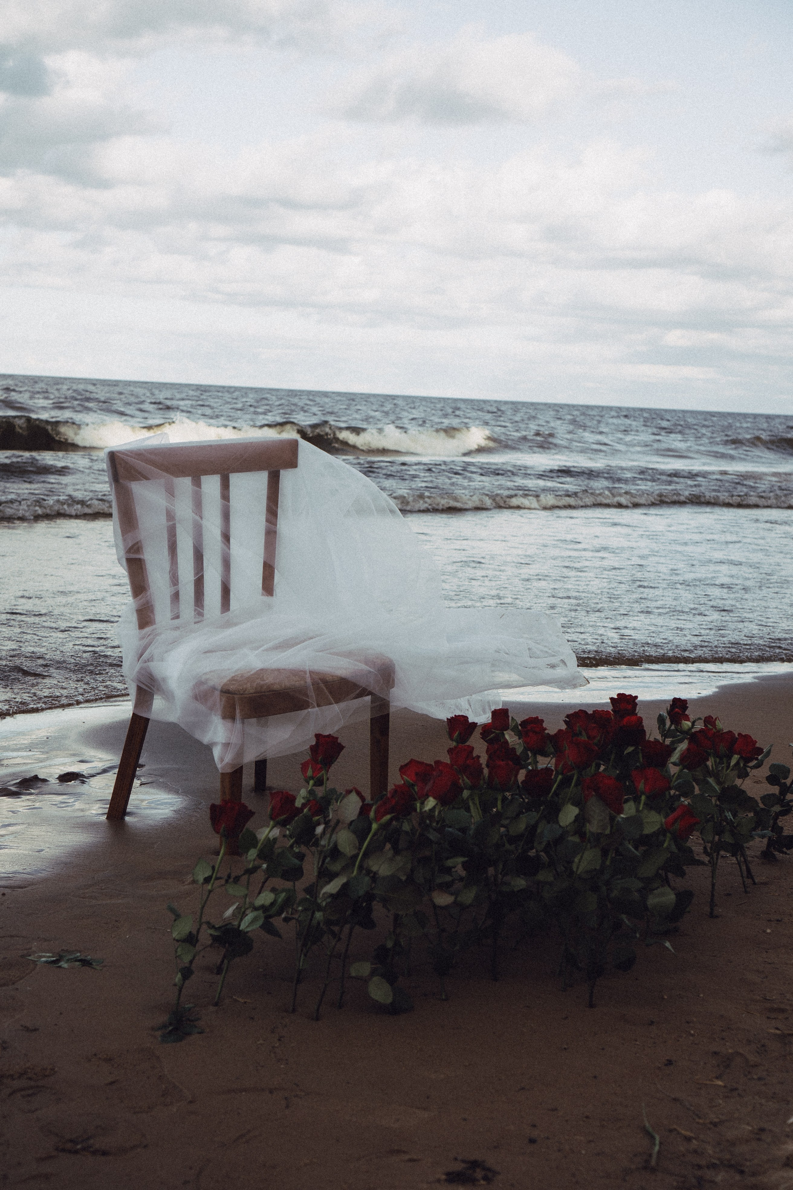 Розы. Профессиональный фотограф, Санкт-Петербург — Виктория Богомолова