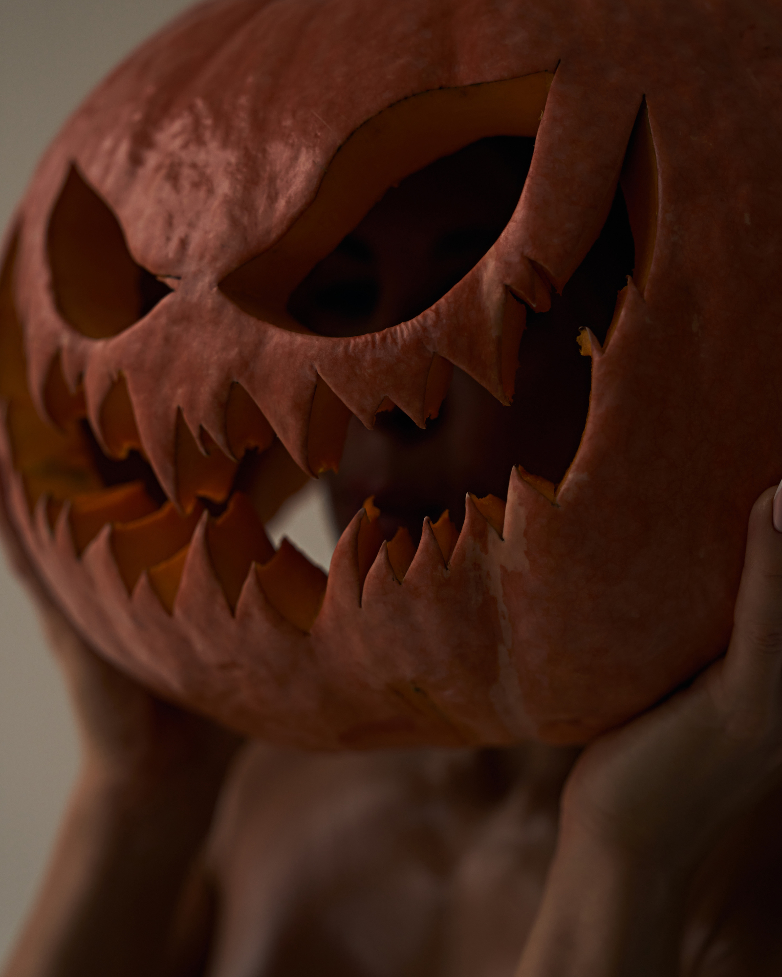 New 18+. Индивидуальные студийные фотосессии Новосибирск