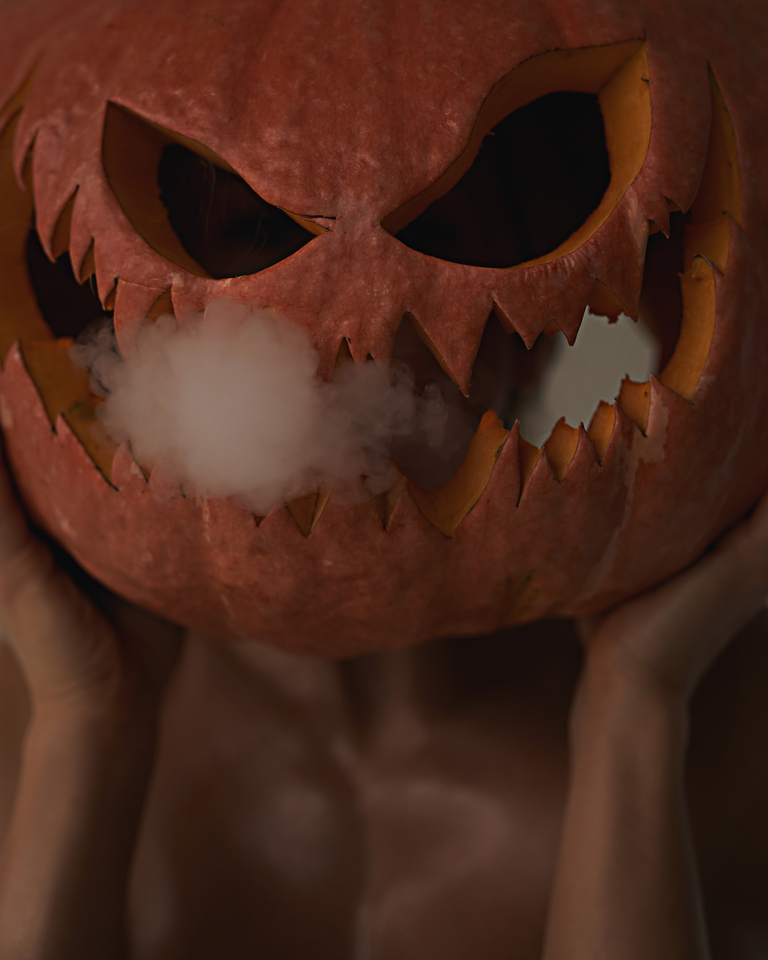 New 18+. Индивидуальные студийные фотосессии Новосибирск