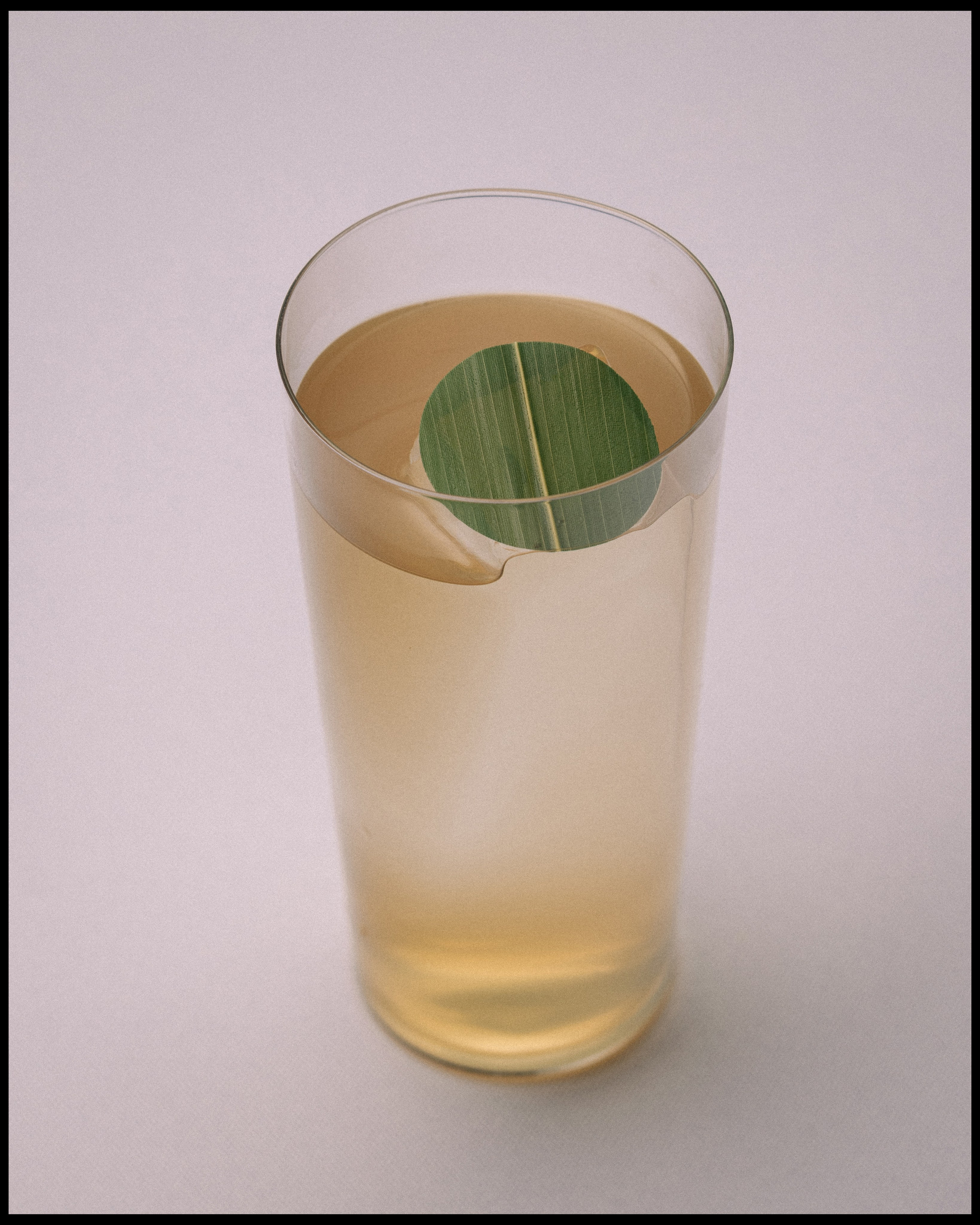 PANNO x VANO. Ivan Petrov photographer