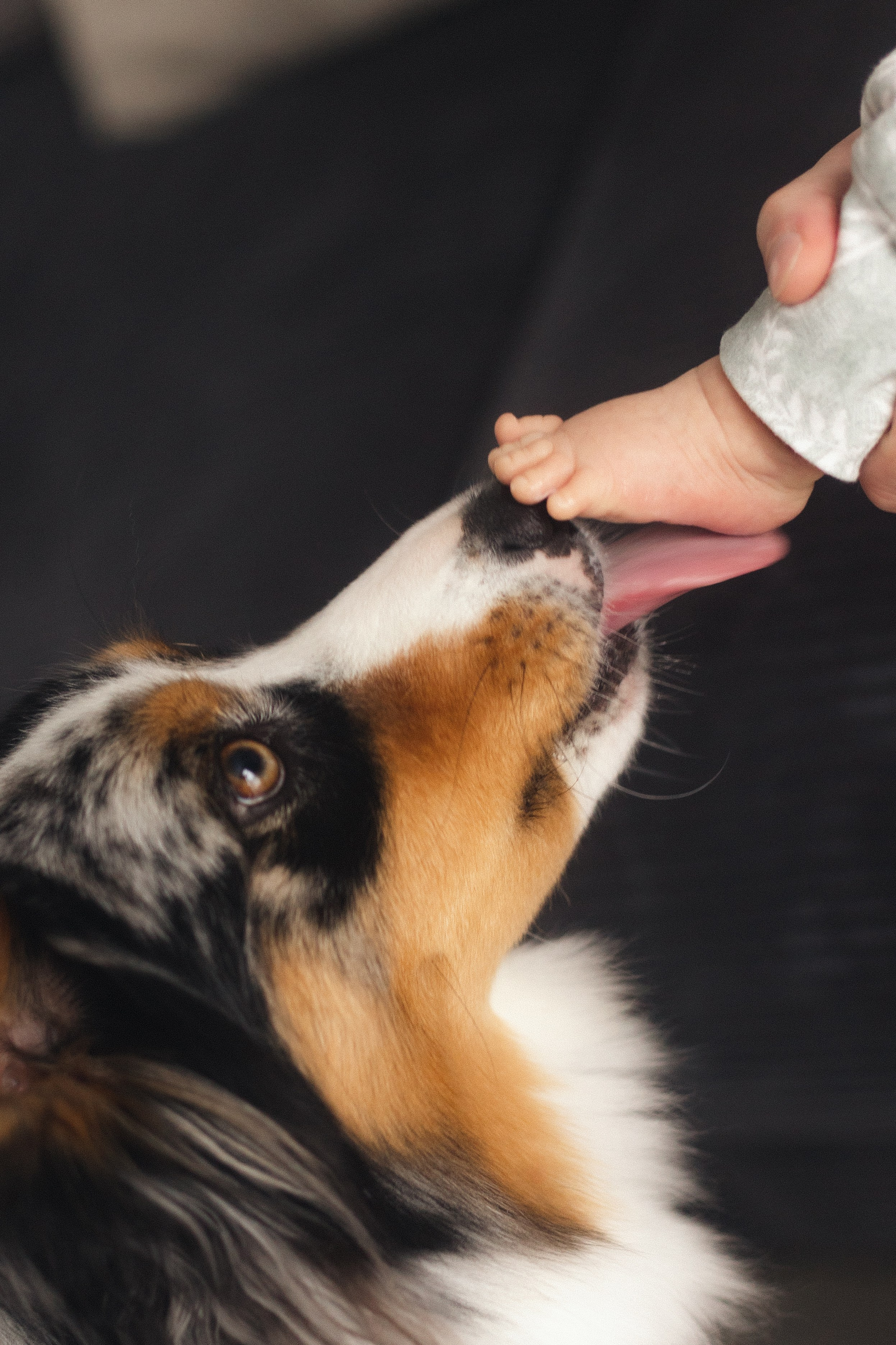 Появление брата. Фотограф из Петербурга