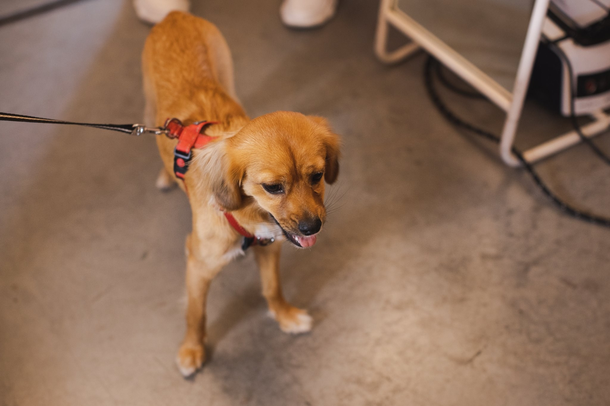 4–5 июня 2022 POP-UP в ДК Рассвет / Фото Иван Гущин. Фотоотчеты «Ламбада-маркета»