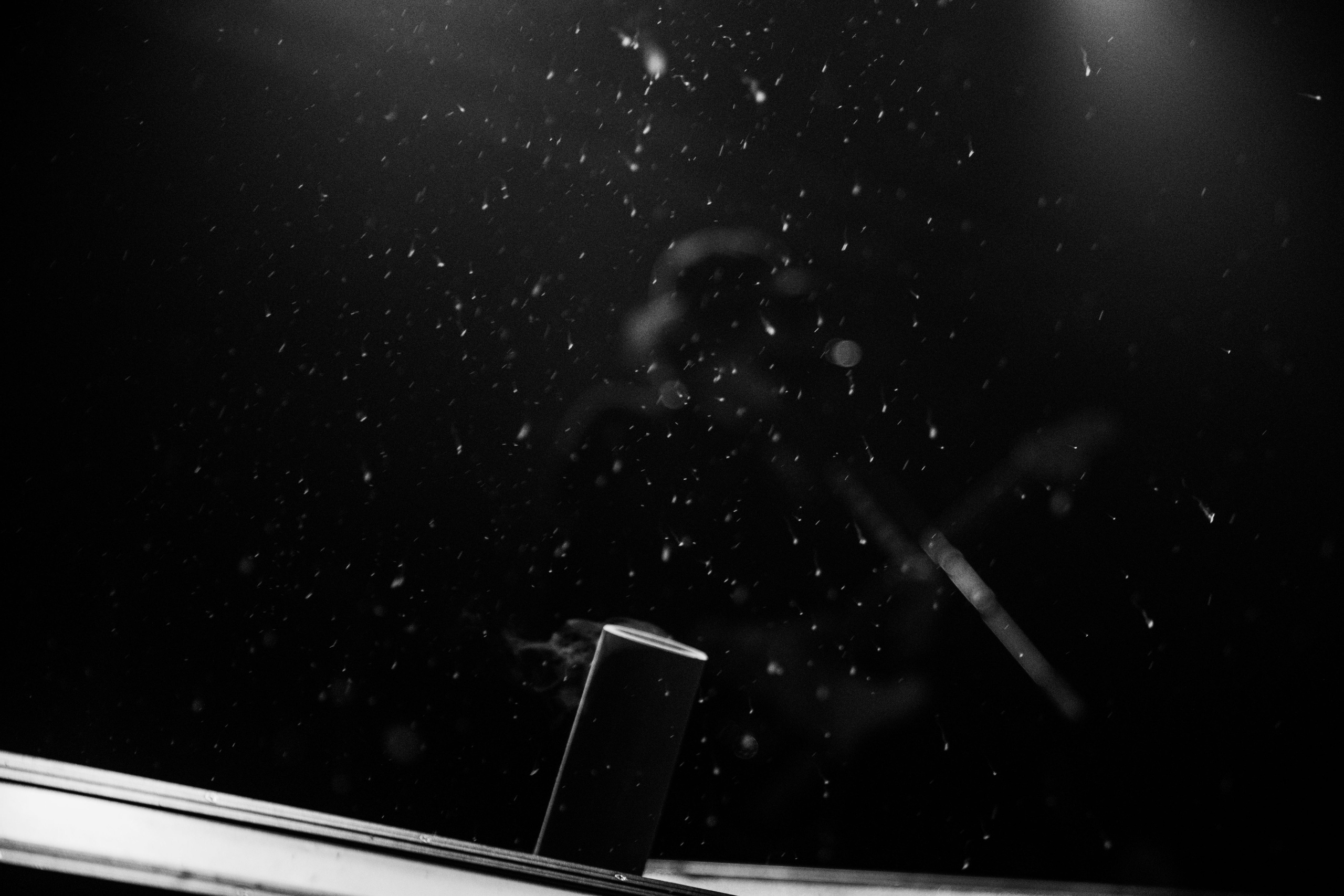 Три дня дождя. _Carpe diem_