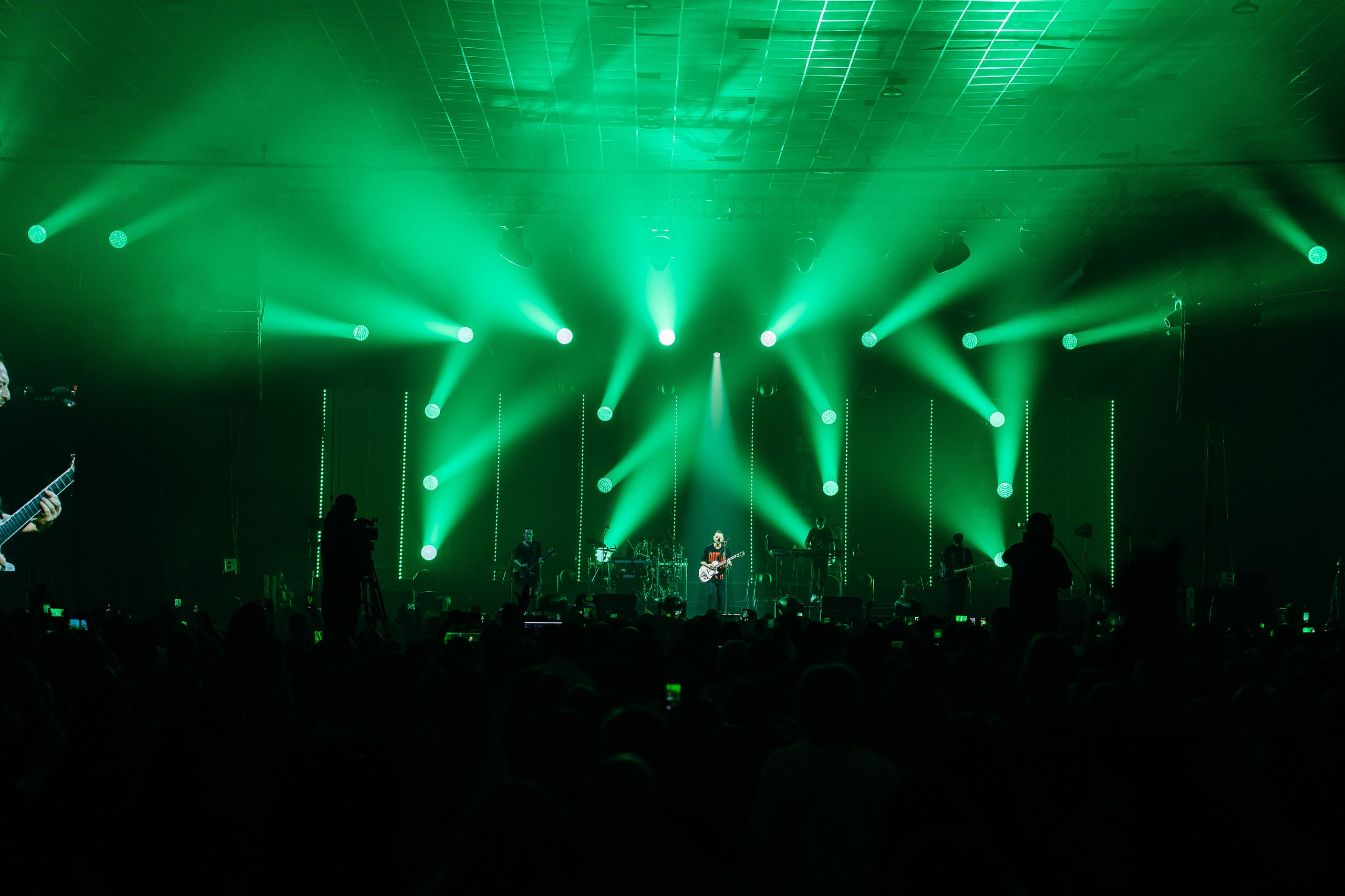 Звери. _Carpe diem_