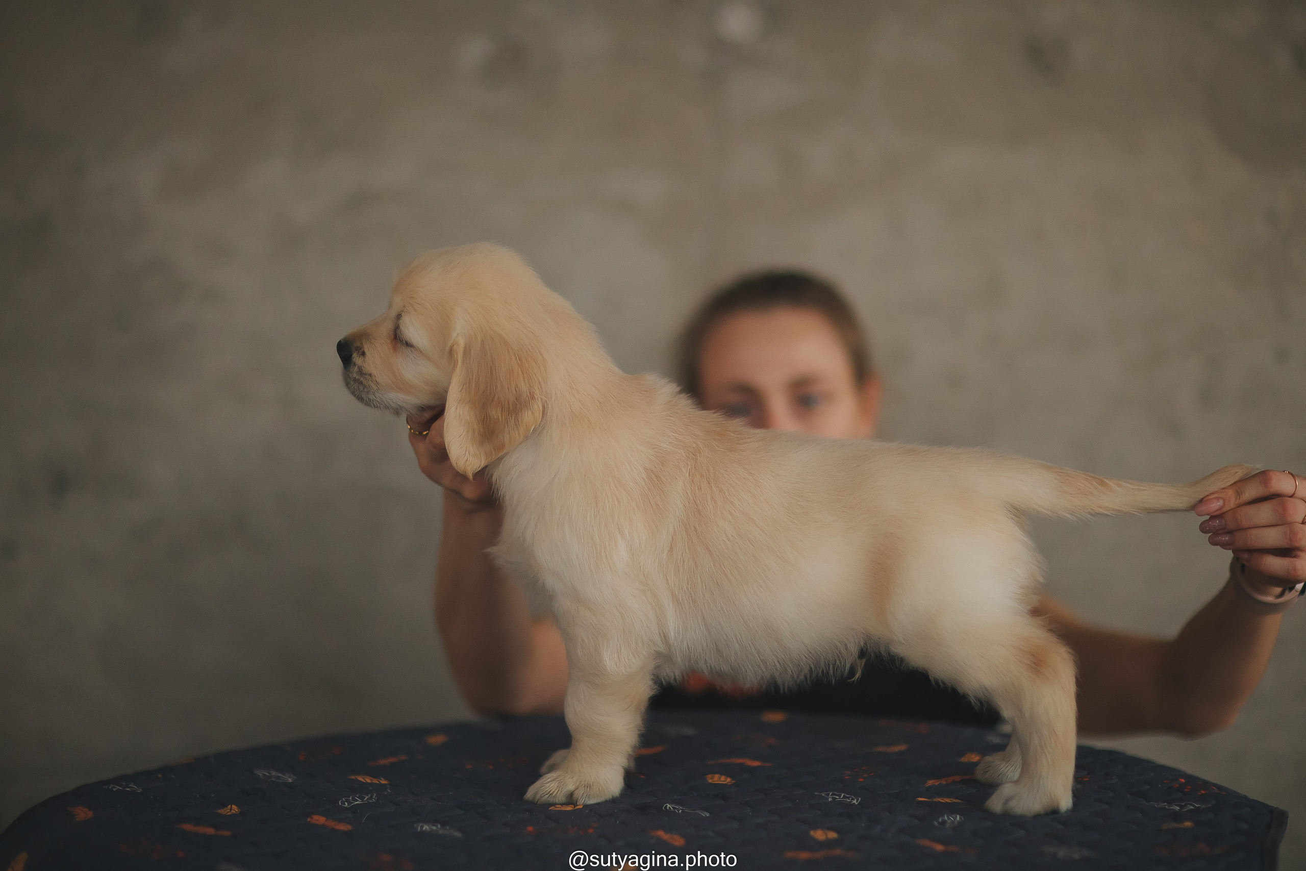 Серая лента. Свадебный и женский фотограф