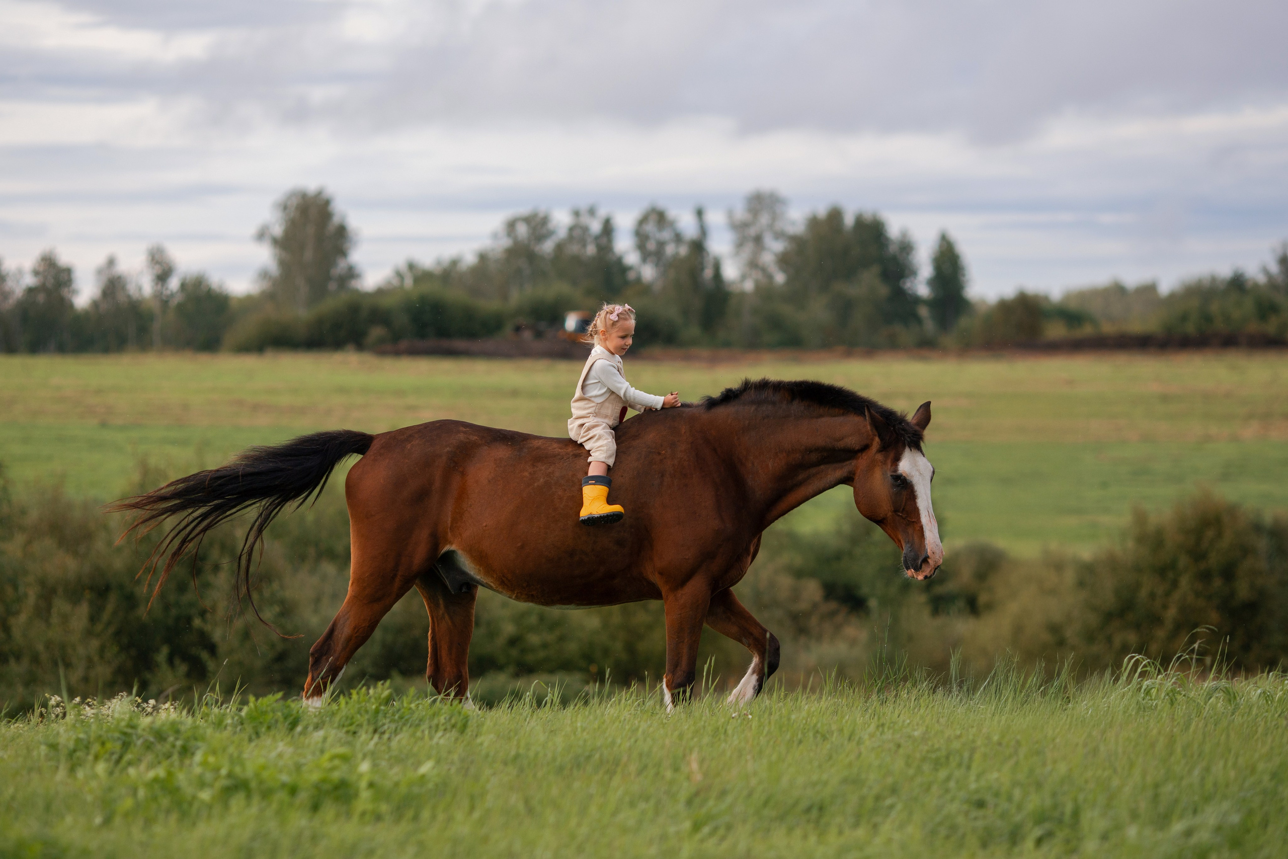 Детская фотосессия на ферме в СПб