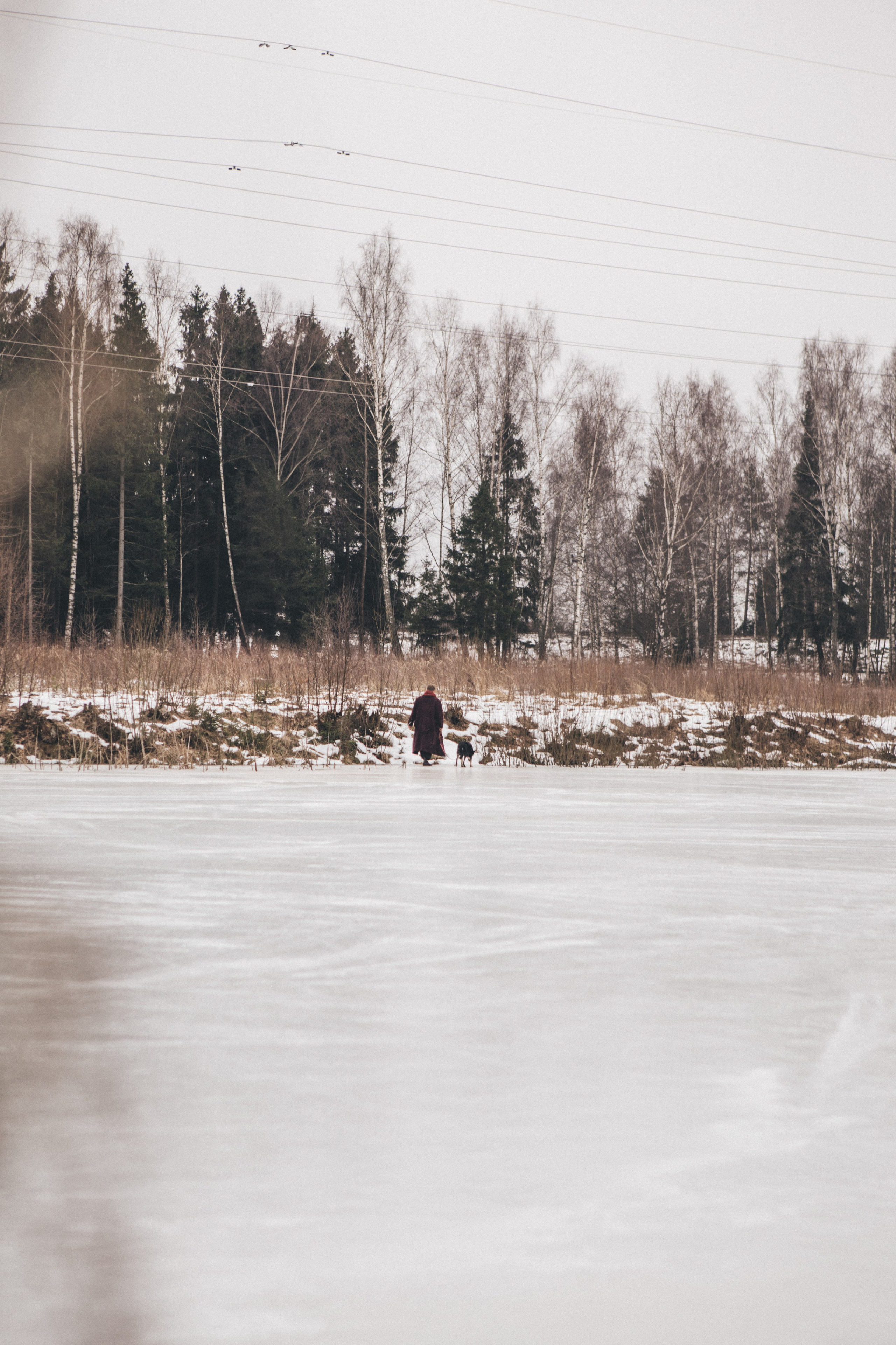 A cinematic tale of true love and unbreakable friendship between a man and a dog. Portrait, family and pet photographer in Cyprus, Ksenia Bourdelle