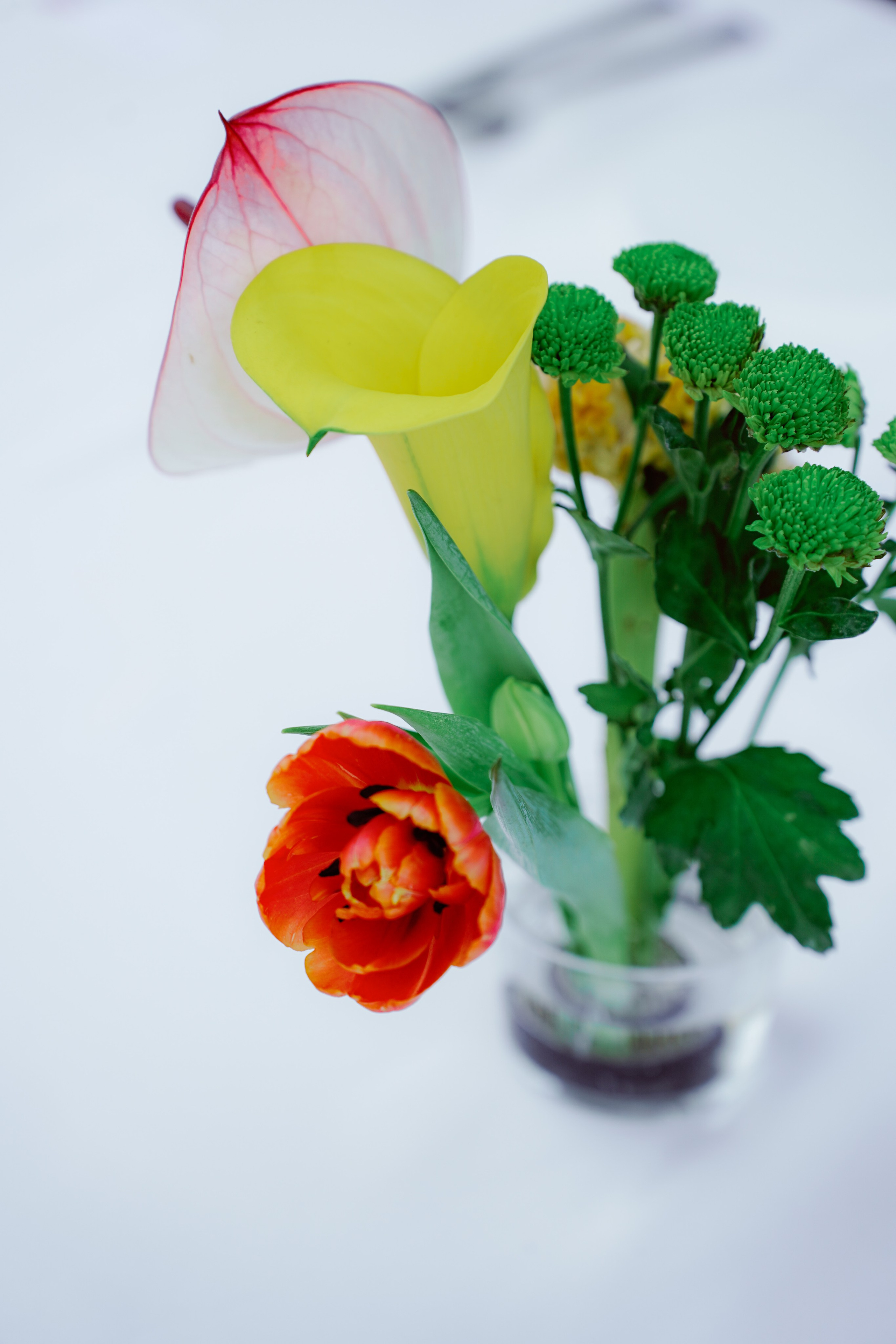 Maria & Burak. İrandek. Fotoğrafçı. İzmir