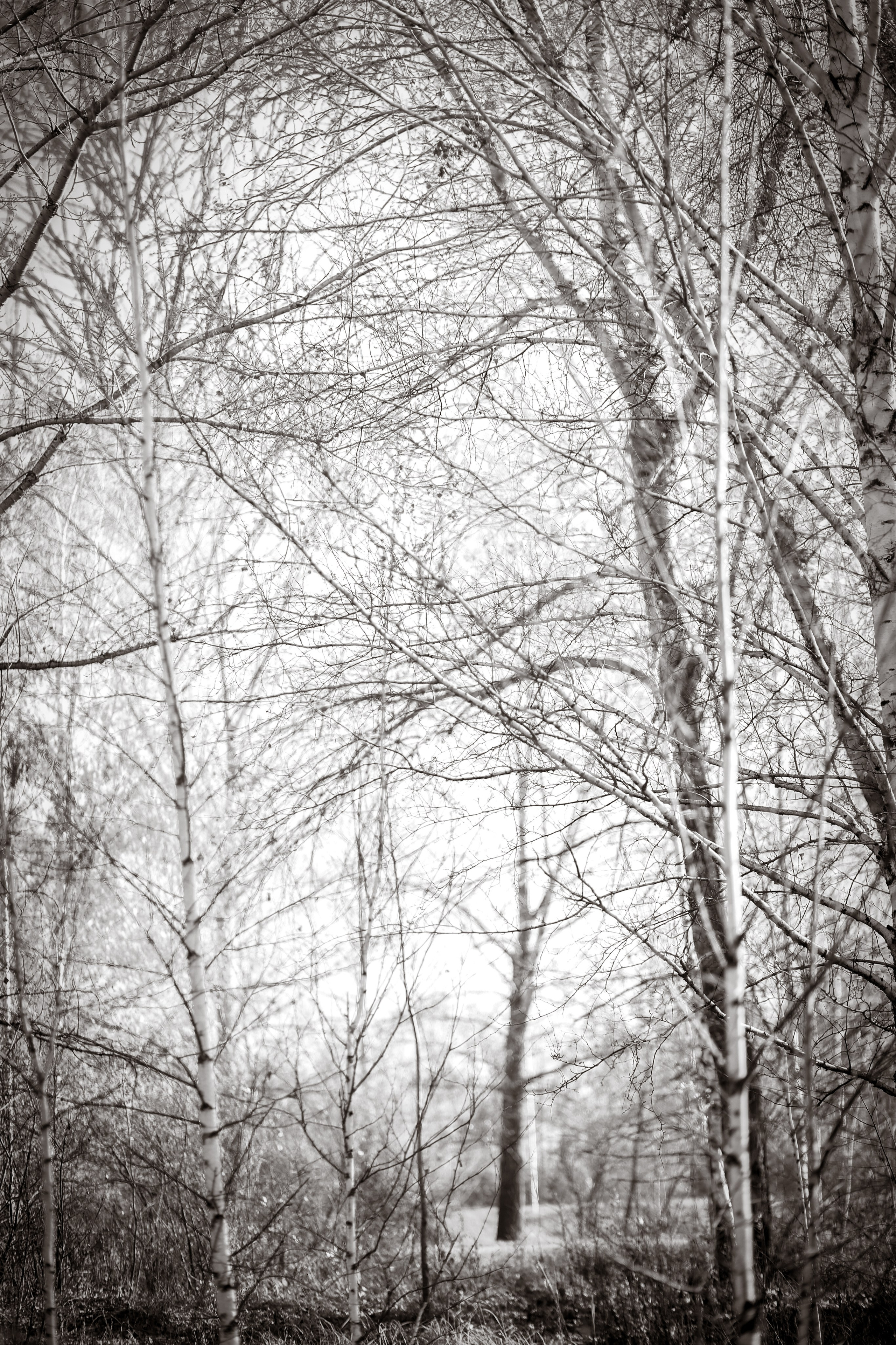 В ожидании Halloween. Art my Pho