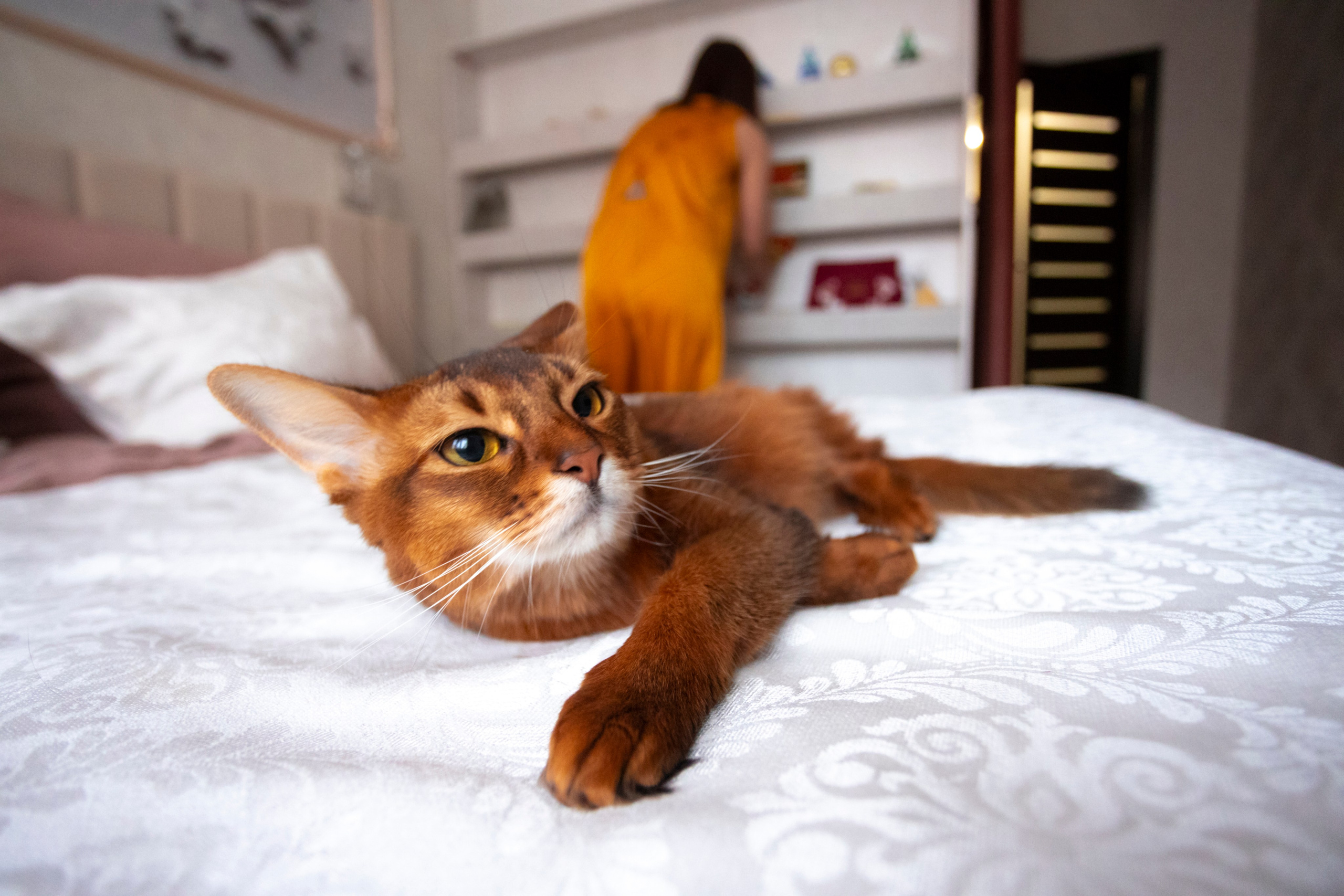 Сомали. Art my Pho