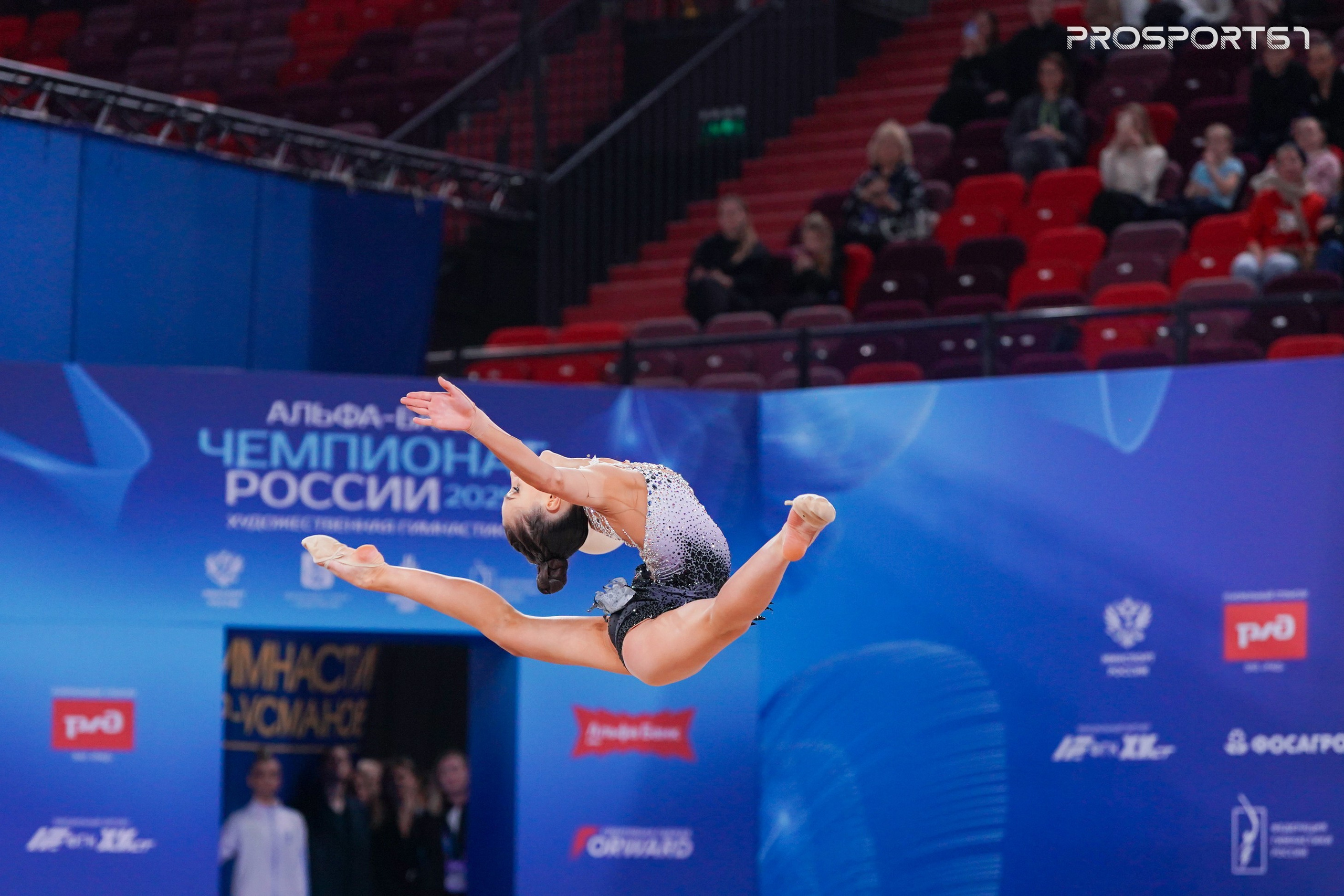 Чемпионат России по художественной гимнастике 2025. Спортивный фотограф Олег Медведев. Спортивный фотограф Олег Медведев | prosport67 | Смоленск