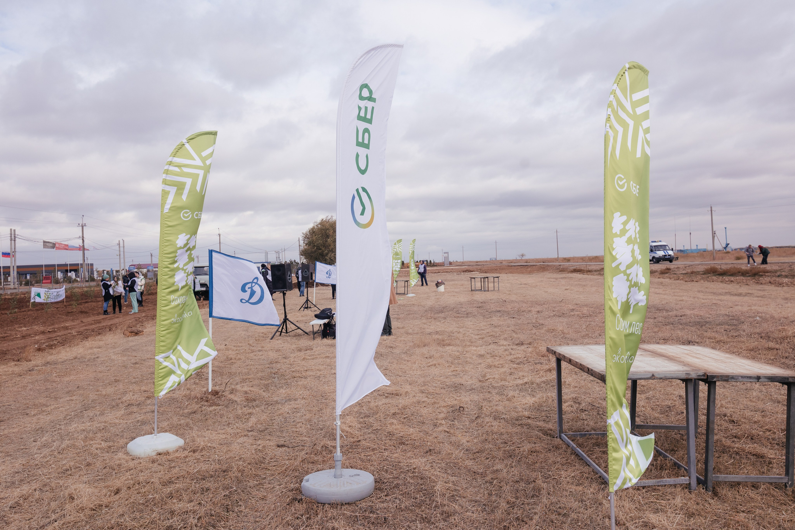 Сохраним лес. Фотограф Крохин Олег