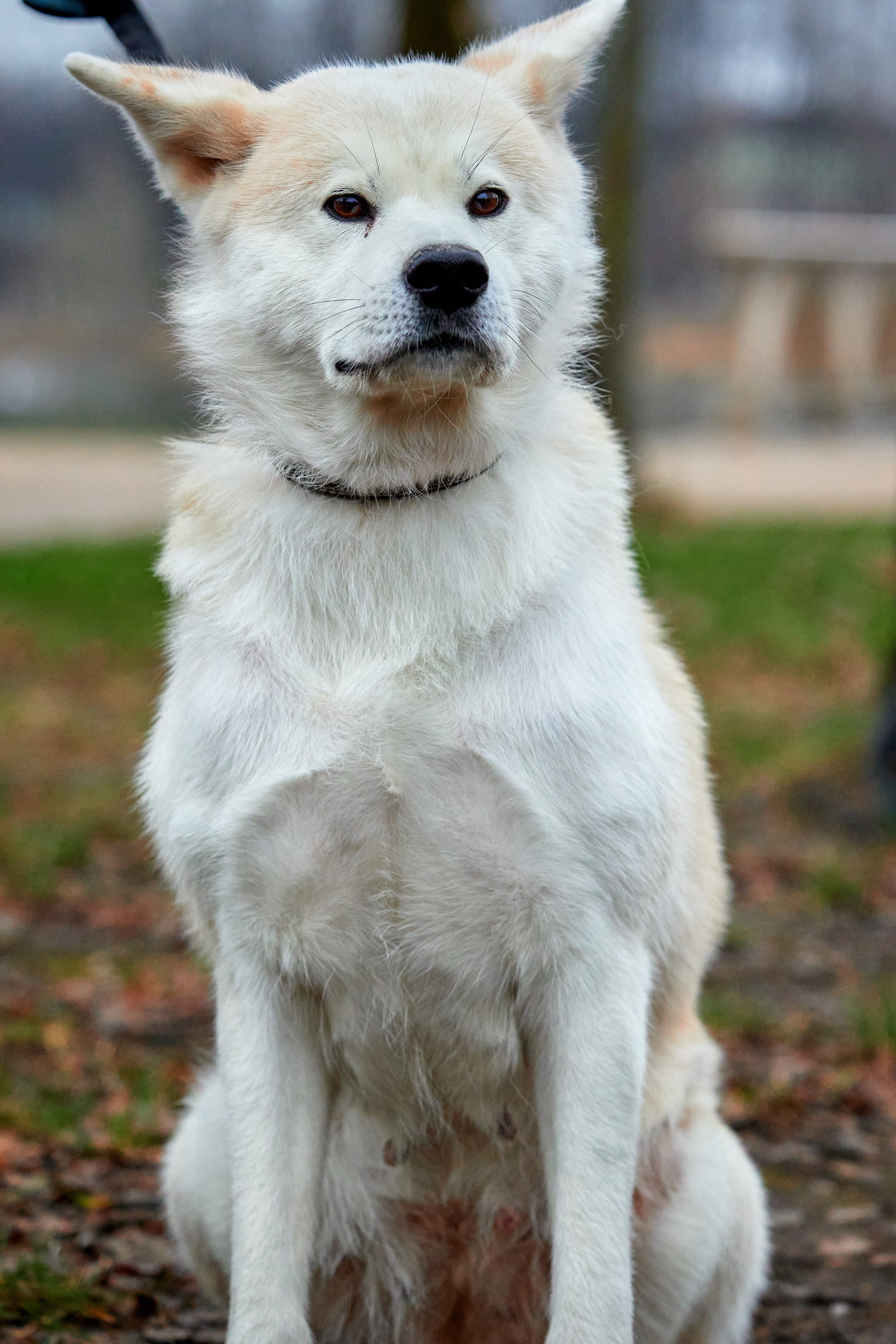 S95 Кусково. Спортивный и репортажный фотограф Андрей Баскаков