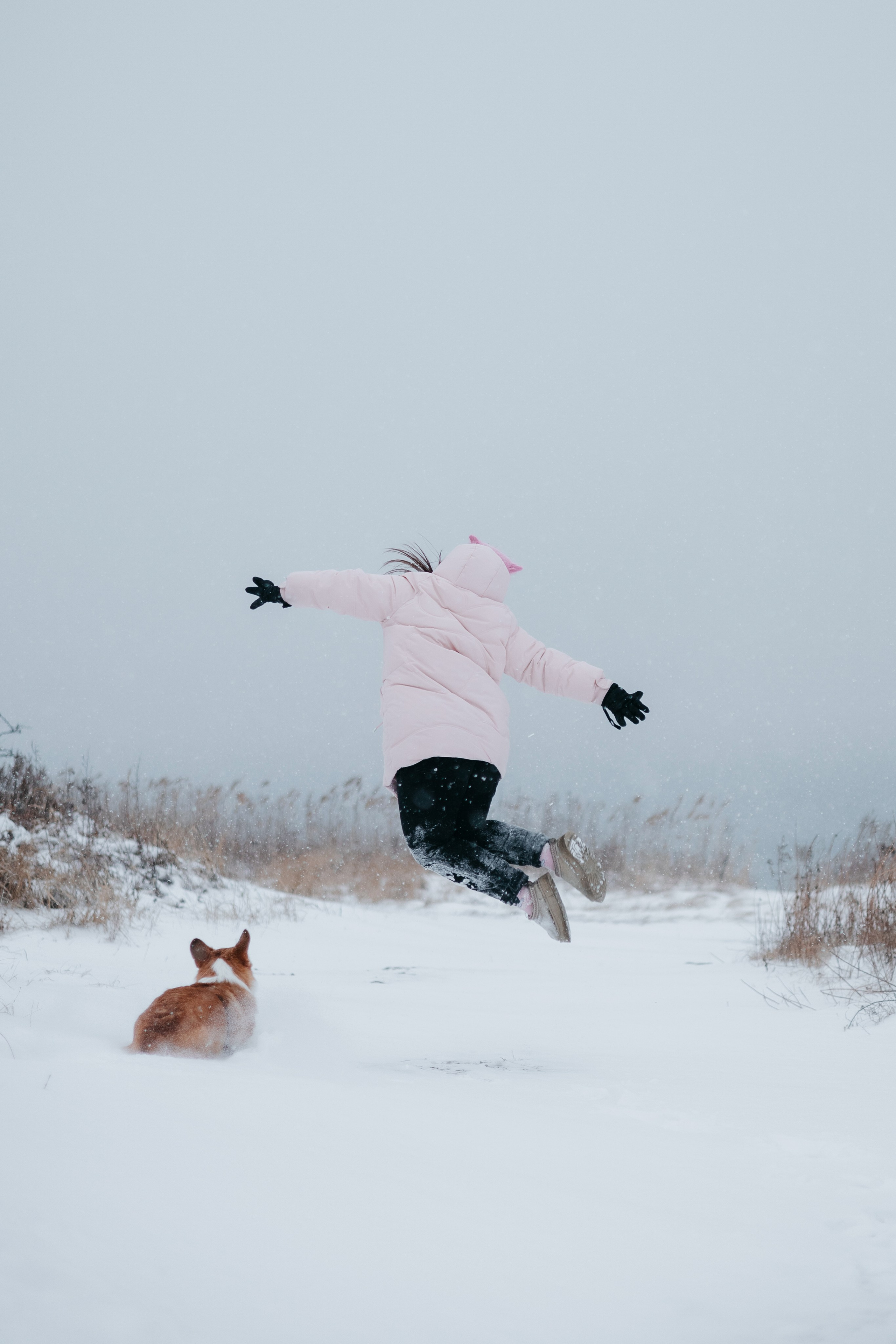 Лена, Лиза и Мия. Фотограф — анималист Владивосток, Алина