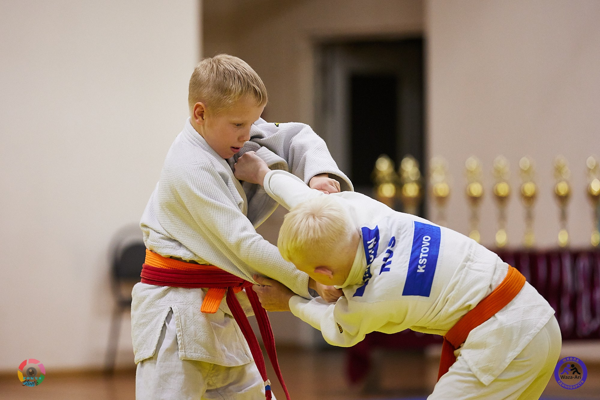 Репортаж Турнир по дзюдо. Спортивный фотограф Некрасов Денис