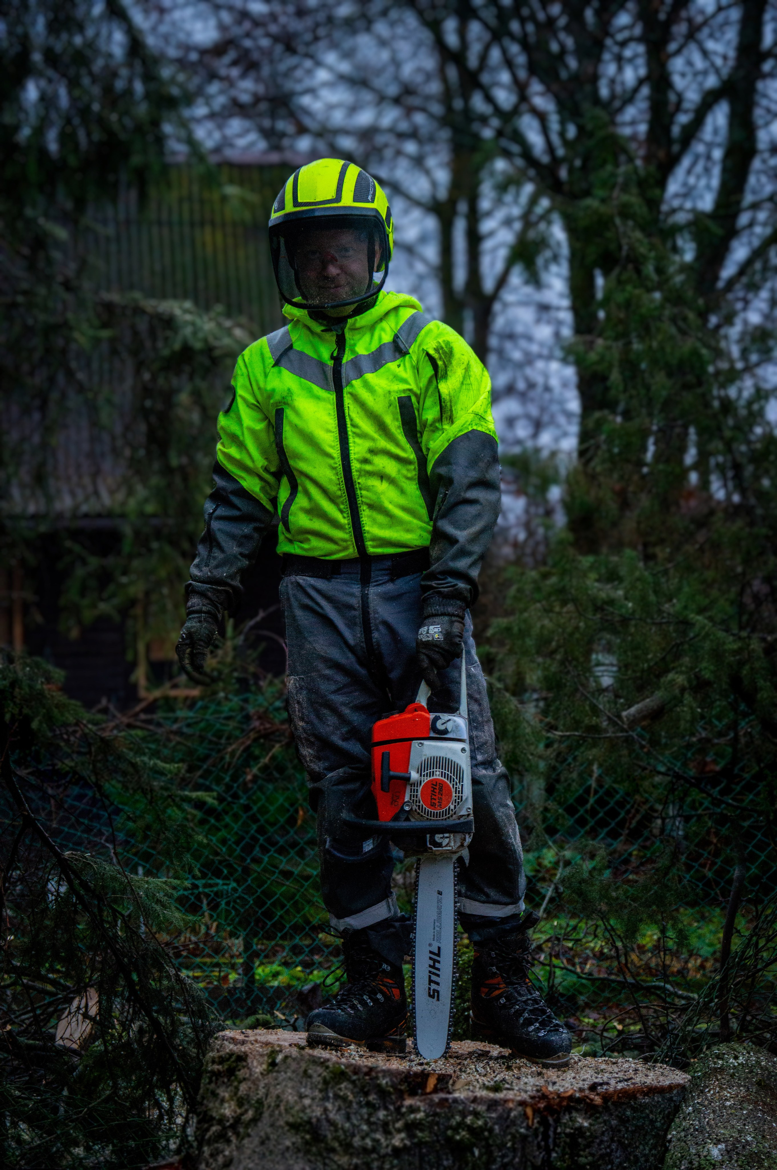 Спил деревьев. Аrbori Culturist