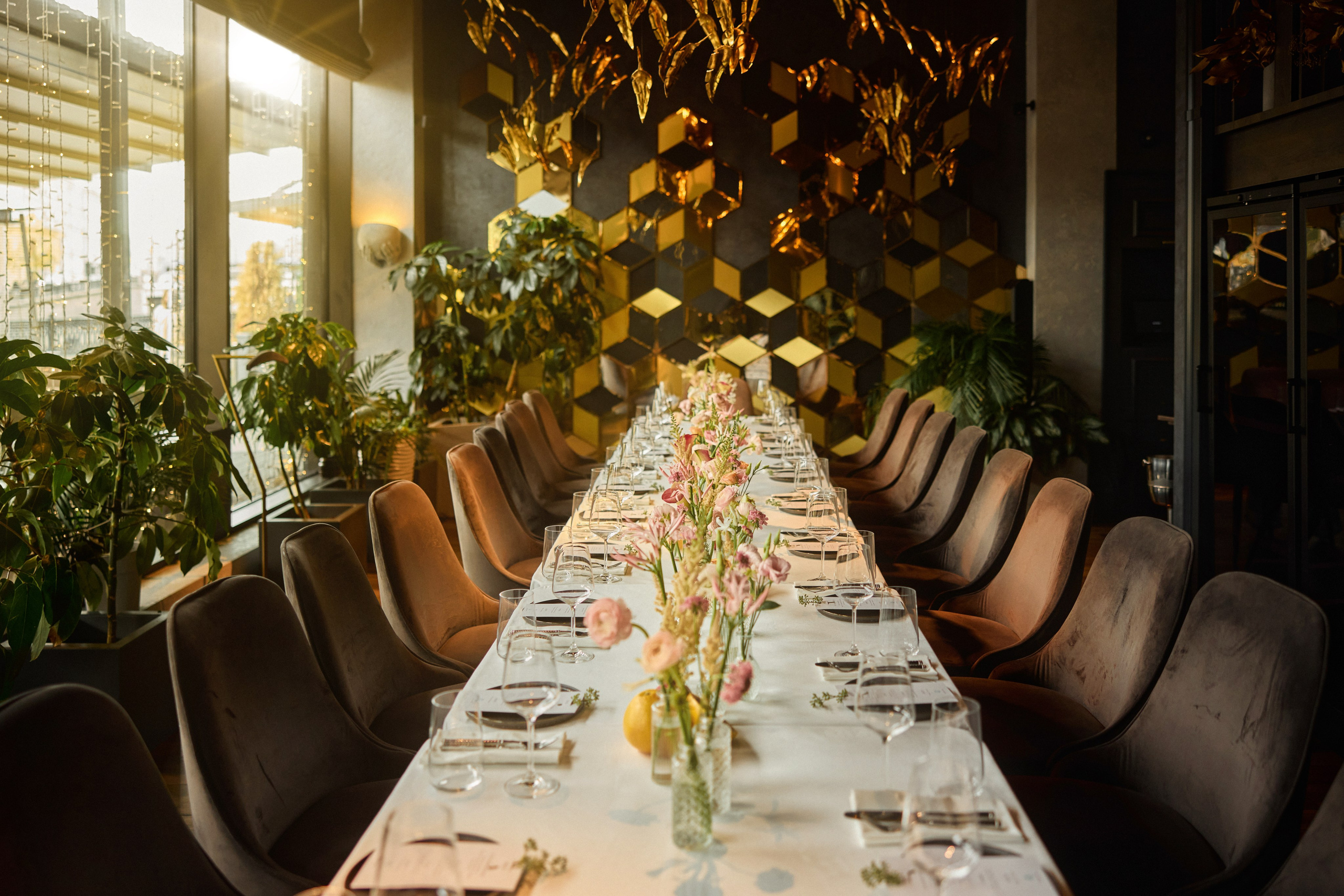 VITAURA. ARTEMIY IGNATOV