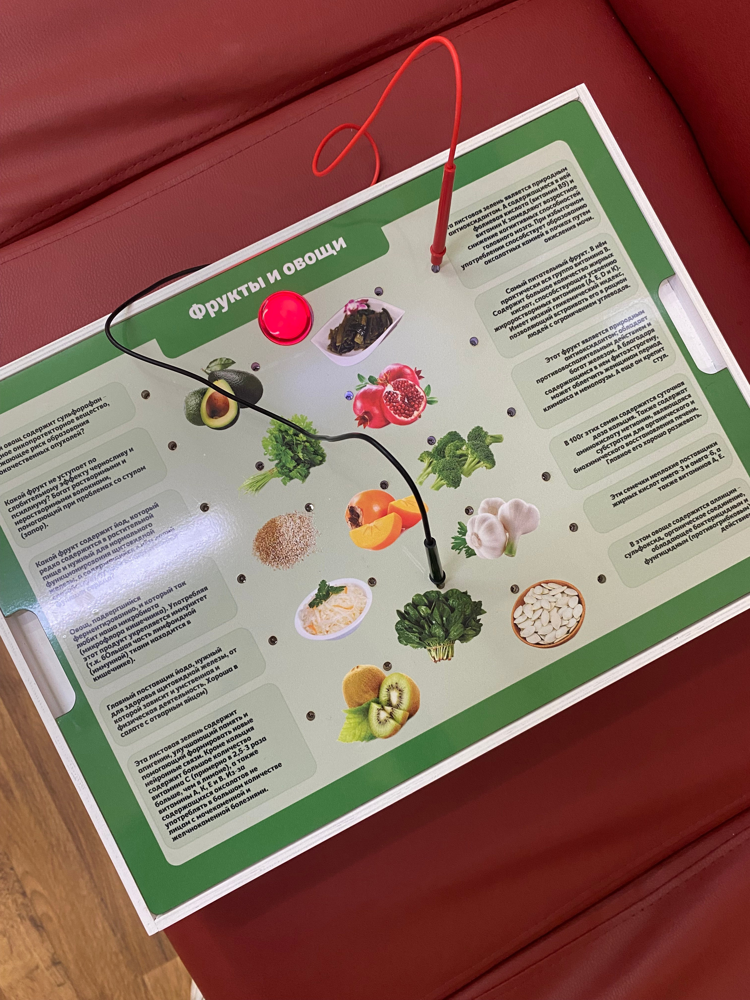 Live photos. Индивидуальный фотограф в Саранске Светлана Капусткина