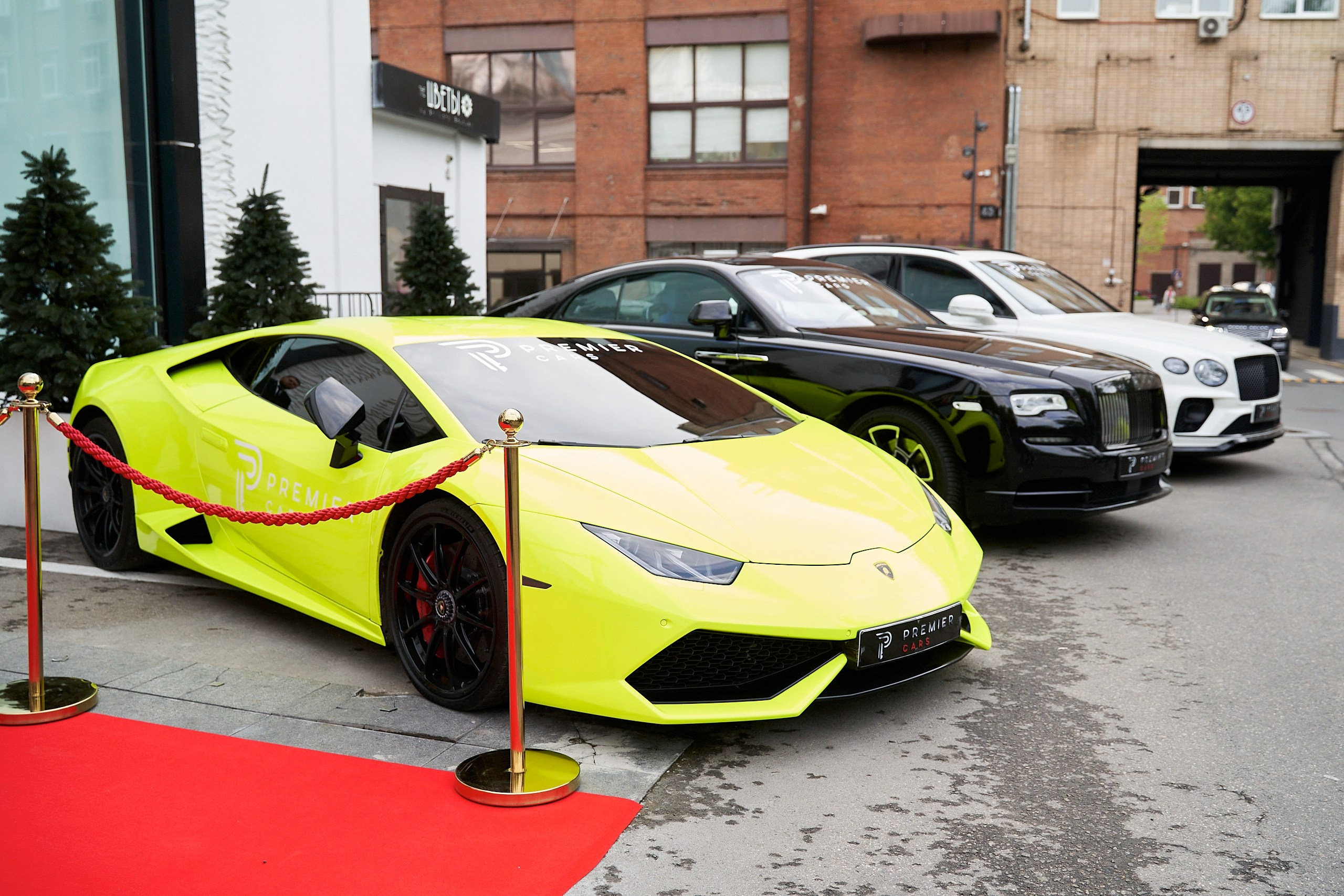 The Toy Fashion. Murad Kamazov