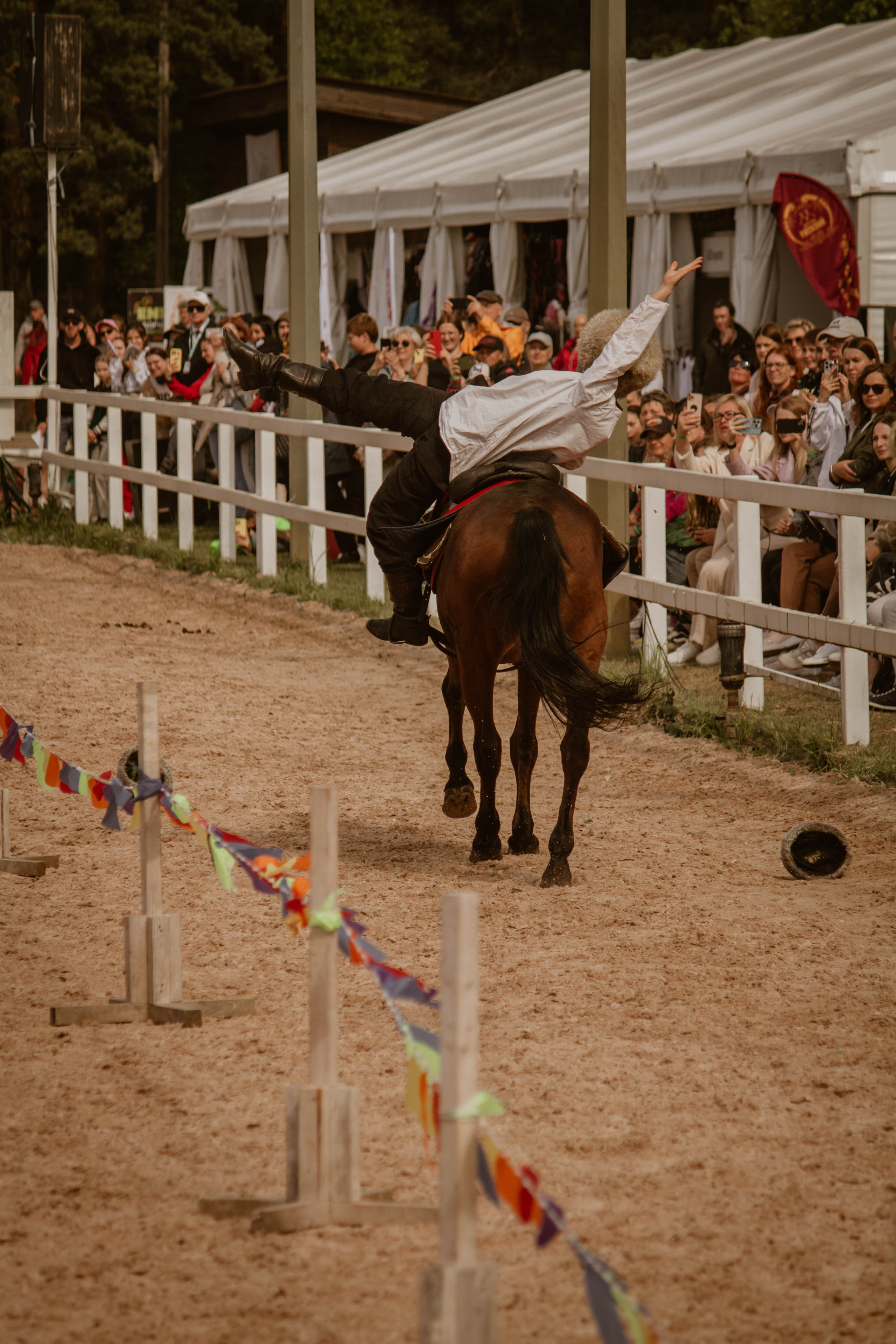 ИППОСФЕРА — Международная конная выставка. Создадим шедевр? Виталина и её фотоискусство