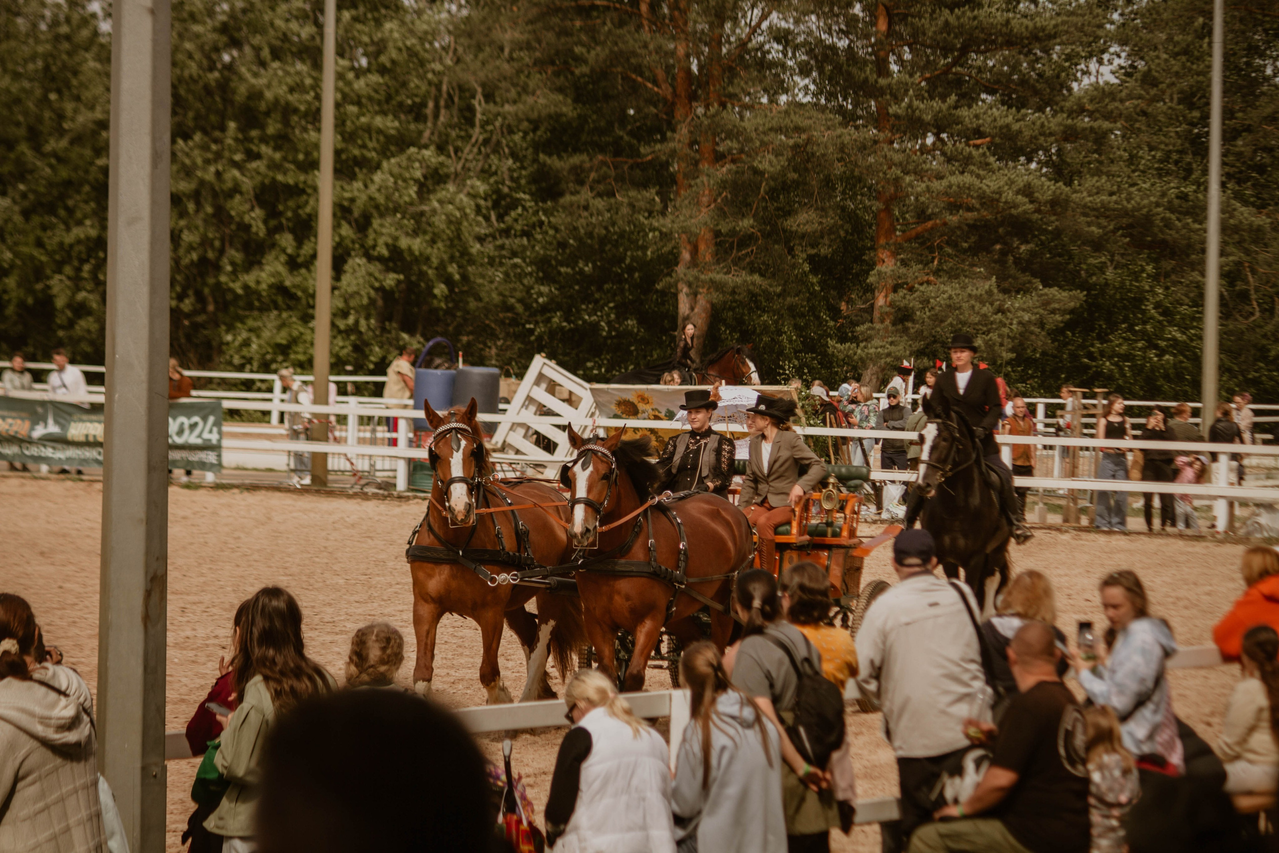 ИППОСФЕРА — Международная конная выставка. Создадим шедевр? Виталина и её фотоискусство