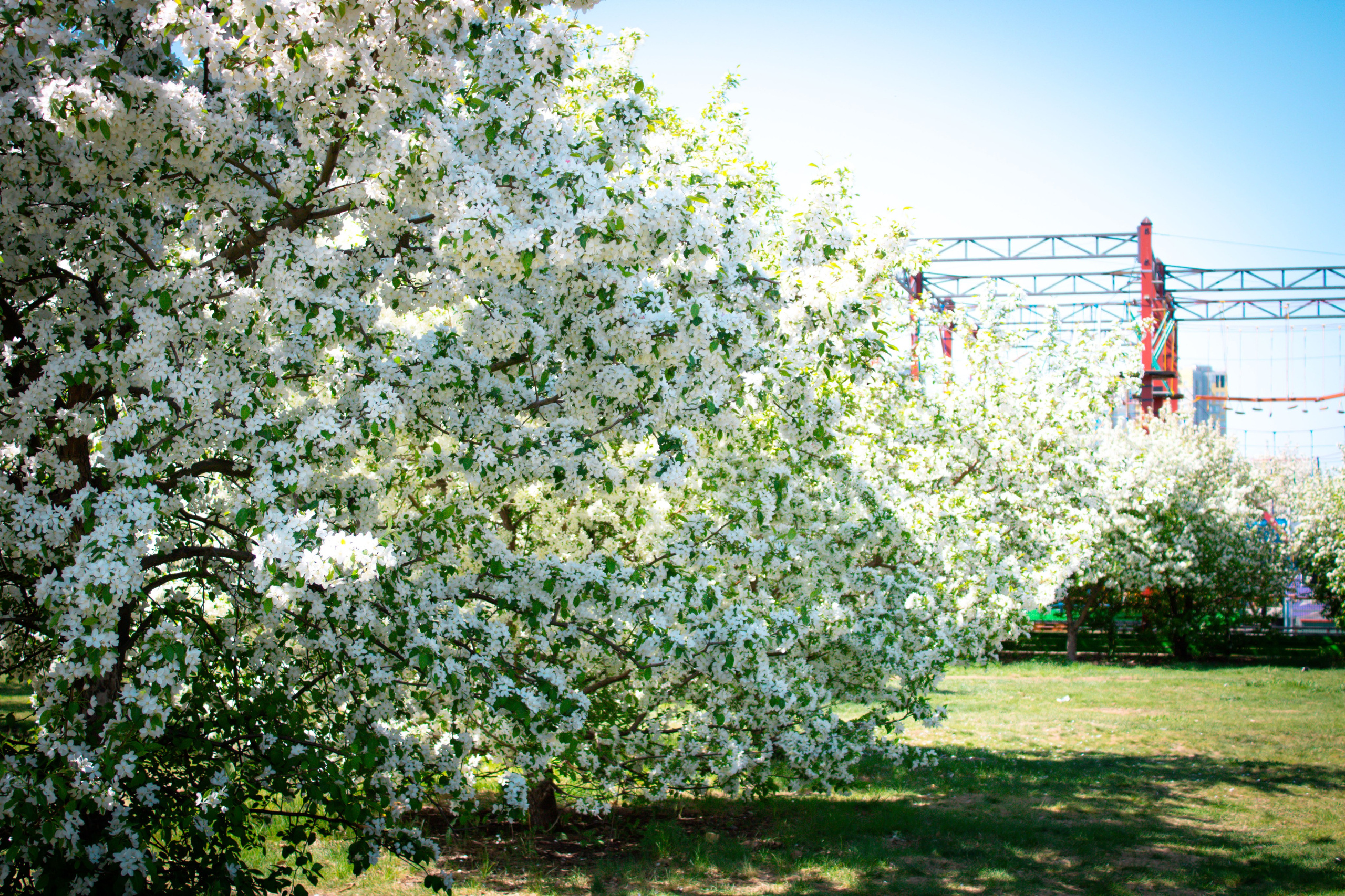 Вдохновение. Бутакова Елена фотограф в Екатеринбурге