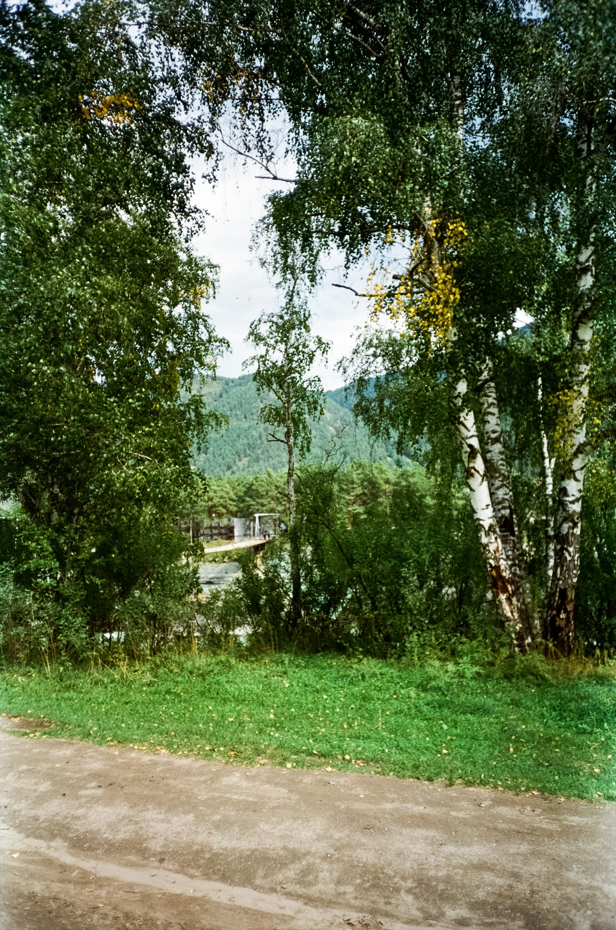 Зубы Дракона и солнечный подарок. Сад пионов. Фотограф-документалист Мария Осокина