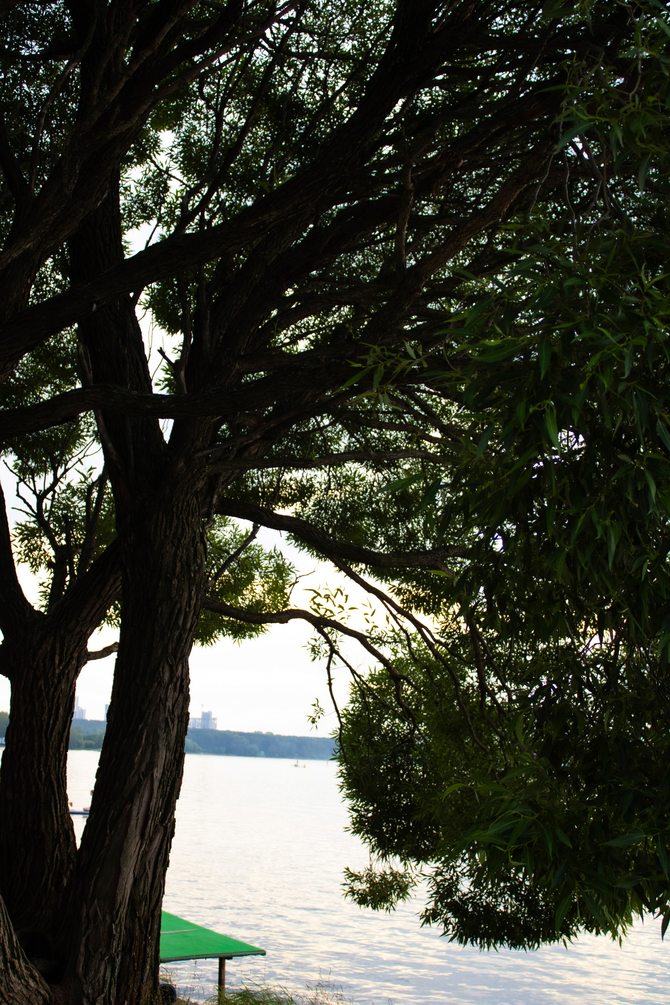 Вдохновение. Бутакова Елена фотограф в Екатеринбурге