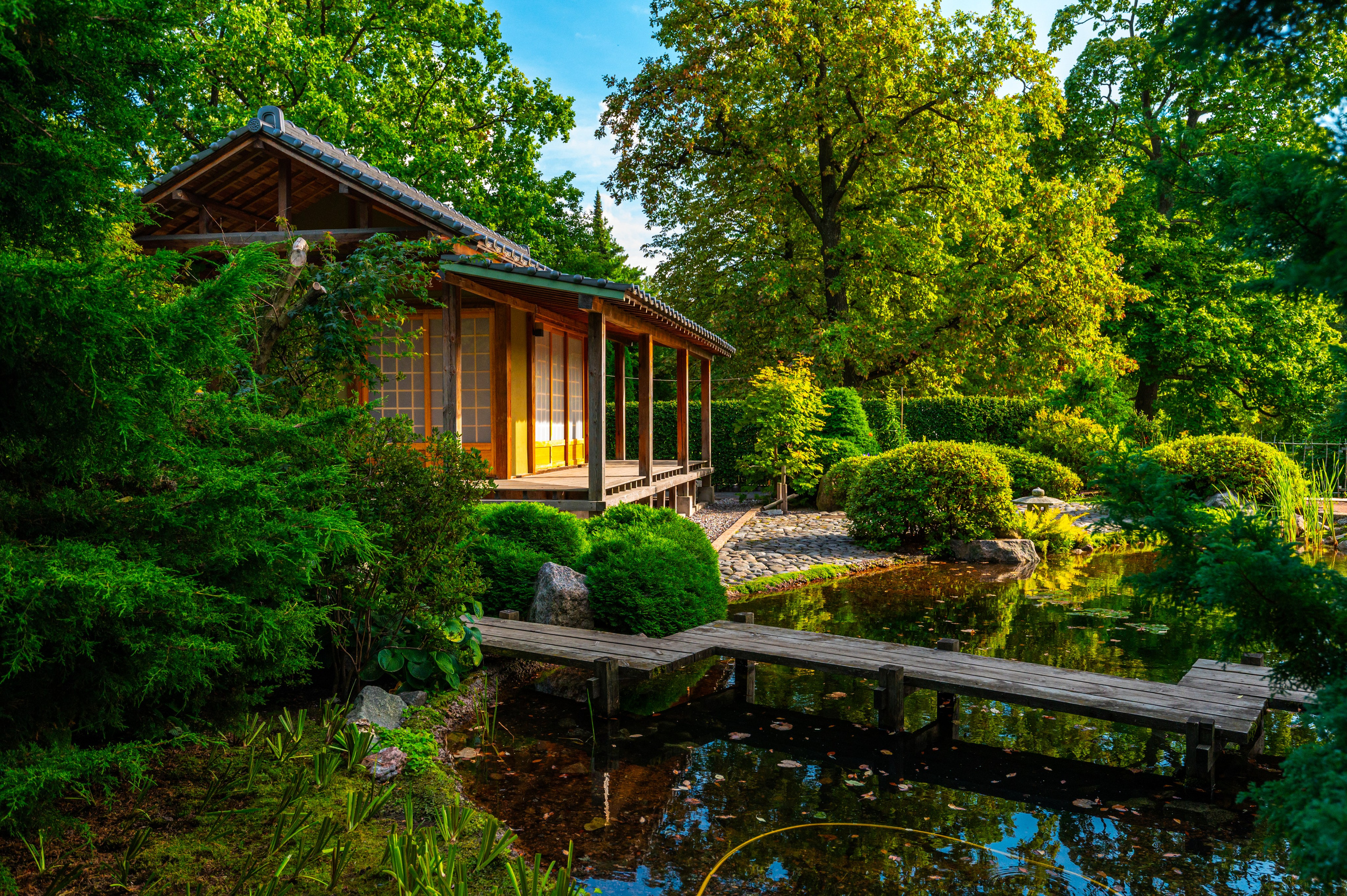 Ретушь. Фотограф в Санкт-Петербурге Александра Паскевич