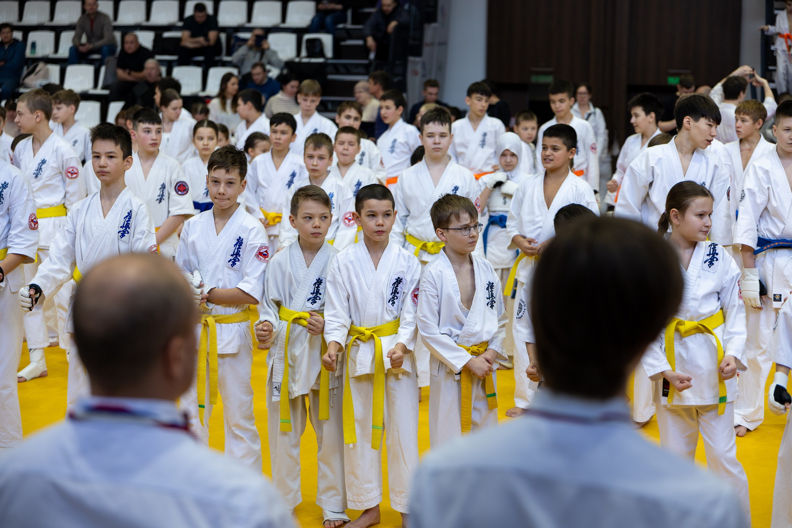 Карате кумите. Главная