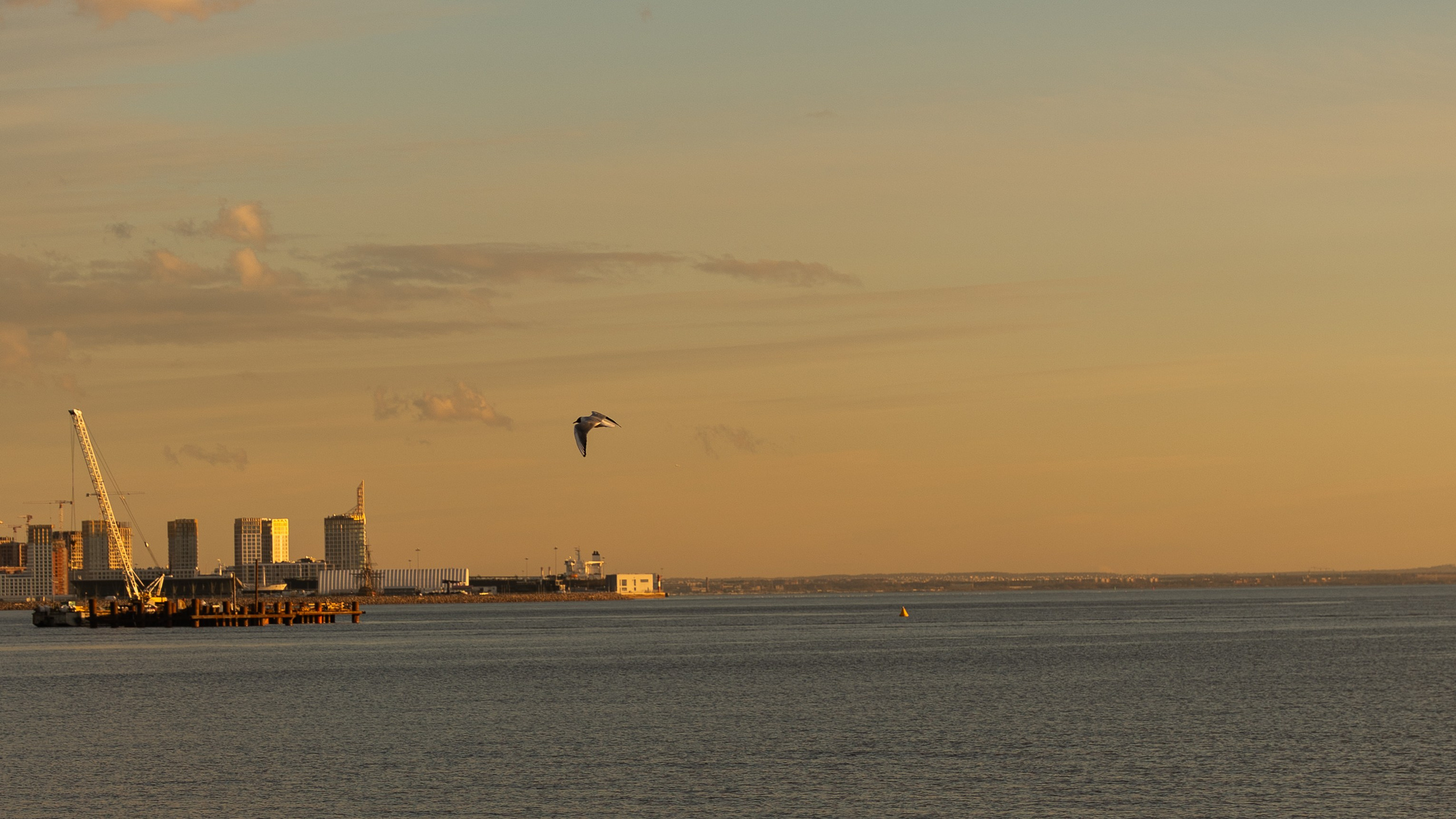 Свадебный фотограф Москва. Истории любви и семейные съёмки. ФОТОГРАФ Любовь Скок. Москва