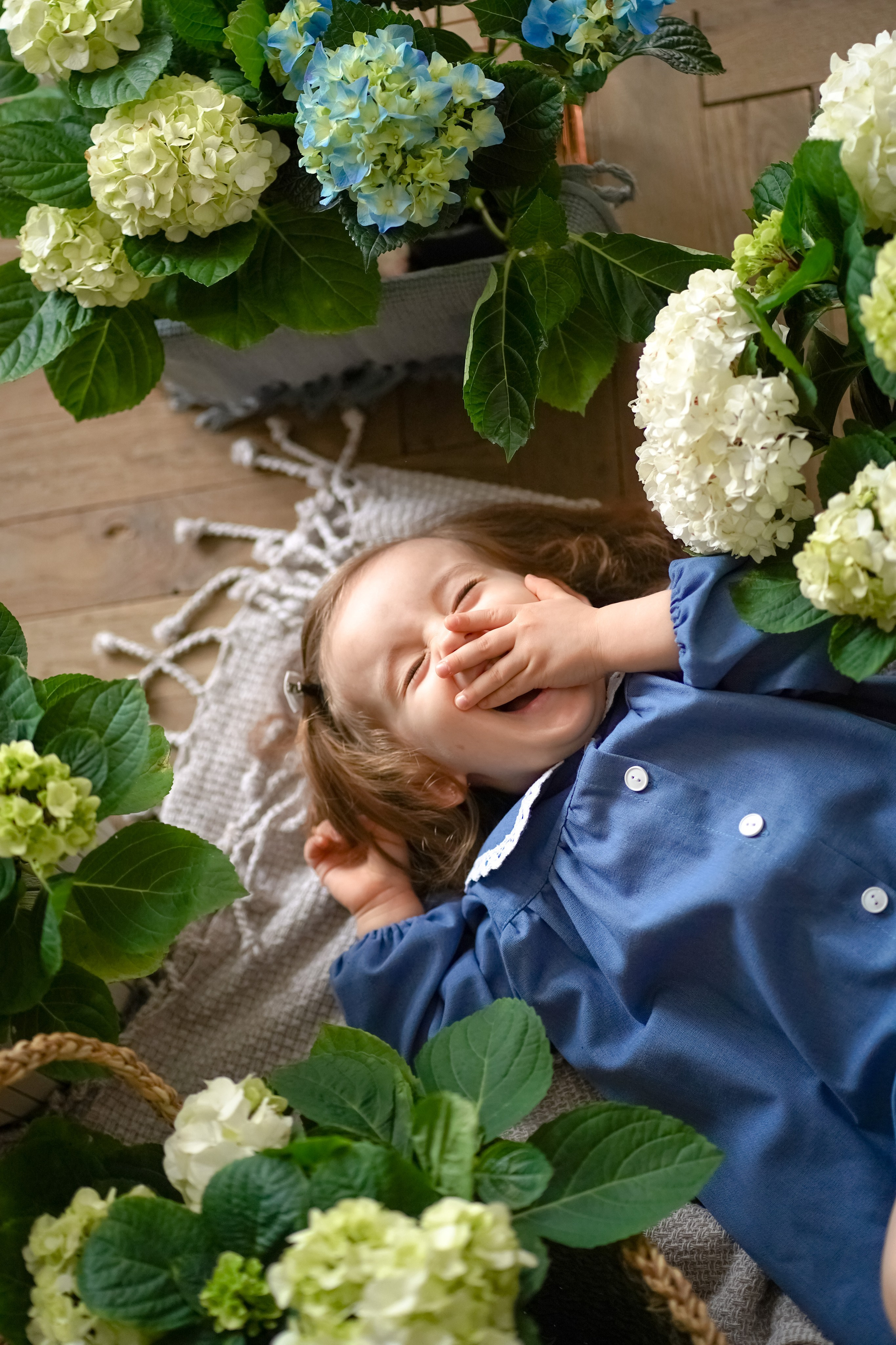 Маленький цветочек. Фотограф Татьяна Митрофанова