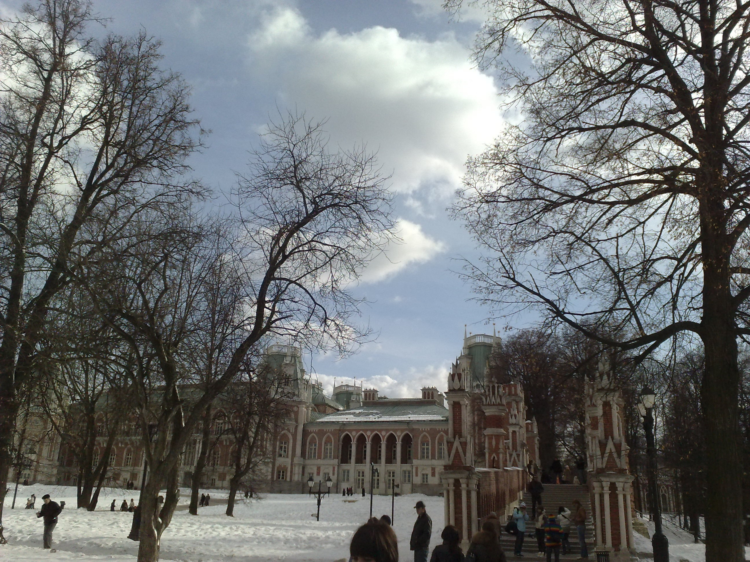 Царицино музей-усадьба. Питомник китайских хохлатых собак Poale Ell: купить щенка в питомнике