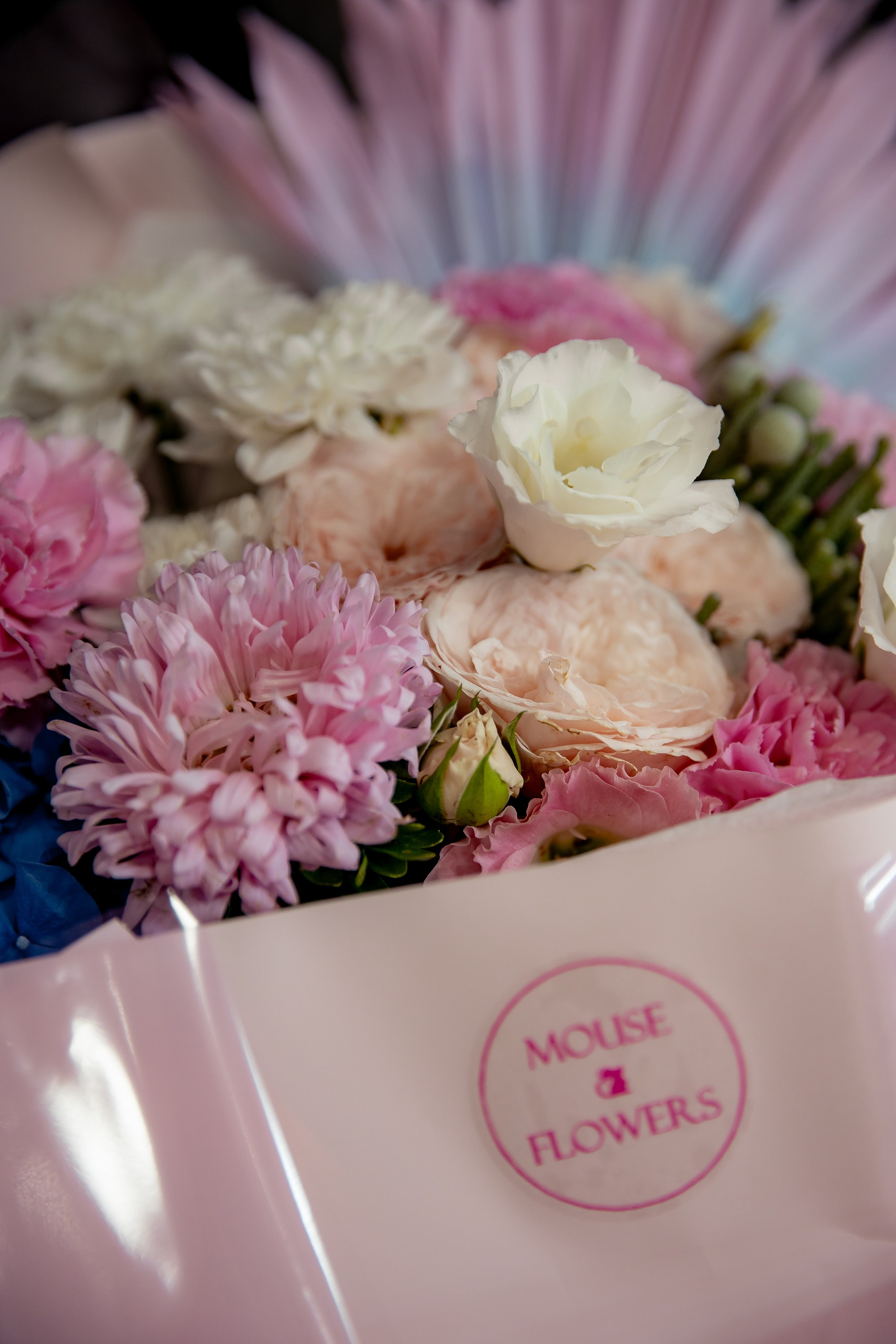 Презентация коллекции цветных драгоценностей в Le Noir. Главная