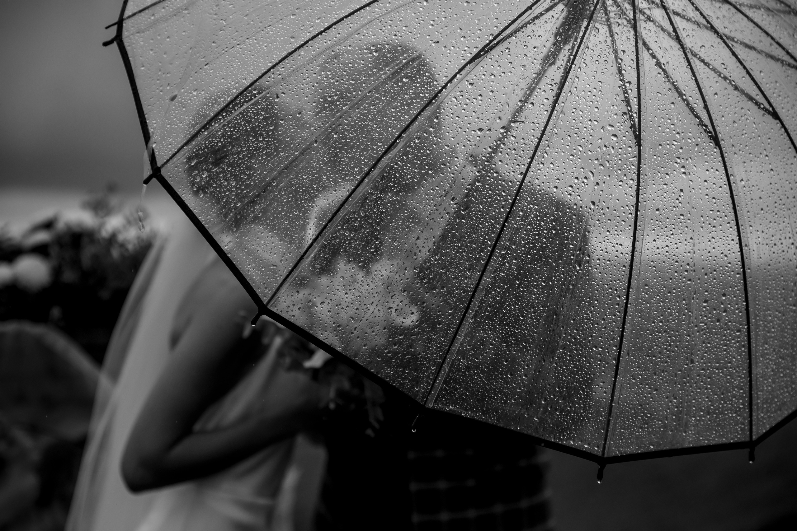 Роман и Анастасия 16/09/2024. Свадебный и семейный фотограф в Севастополе и в Крыму Анастасия Корчак