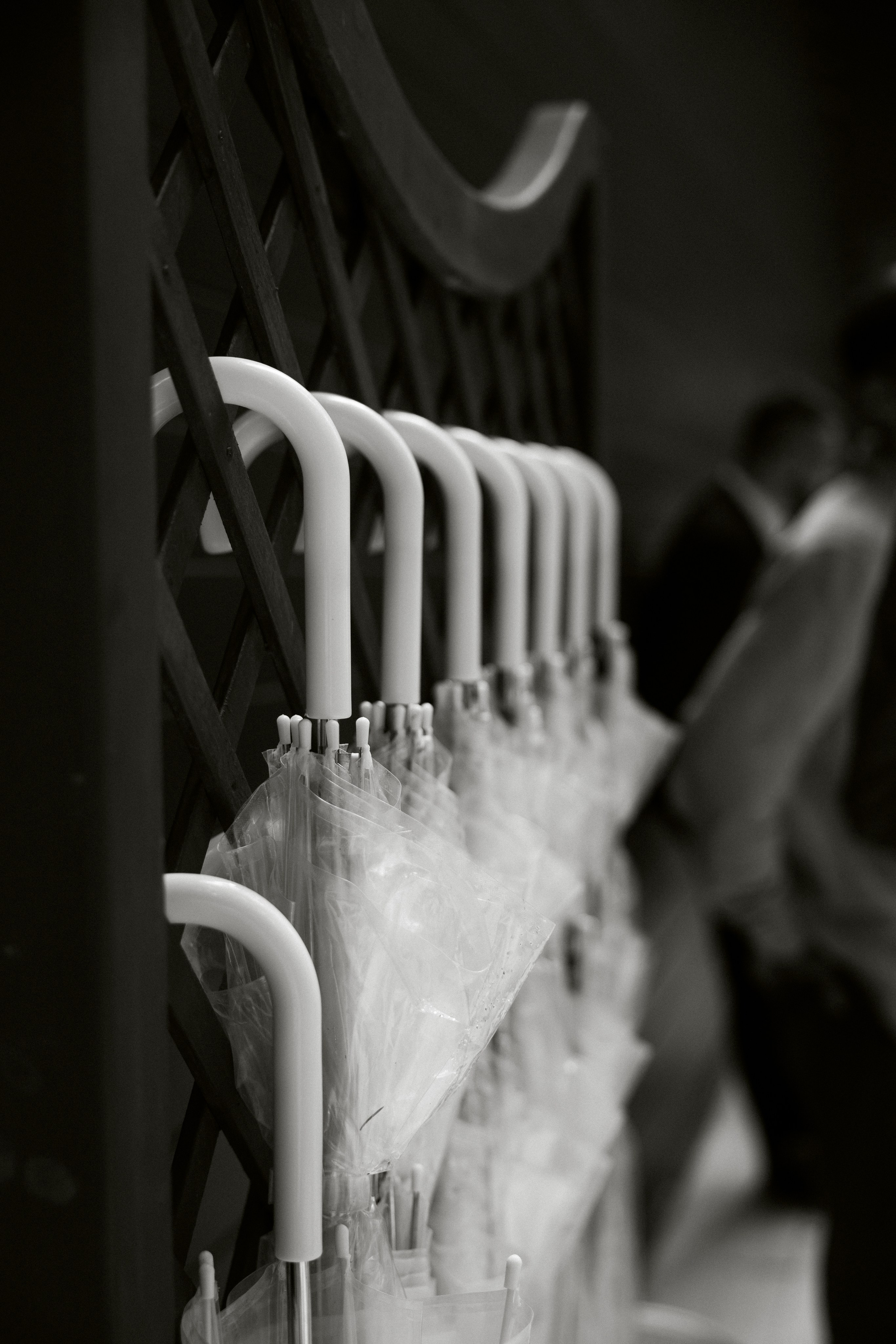 IZUMRUD. Фотограф Наталия Бирюкова