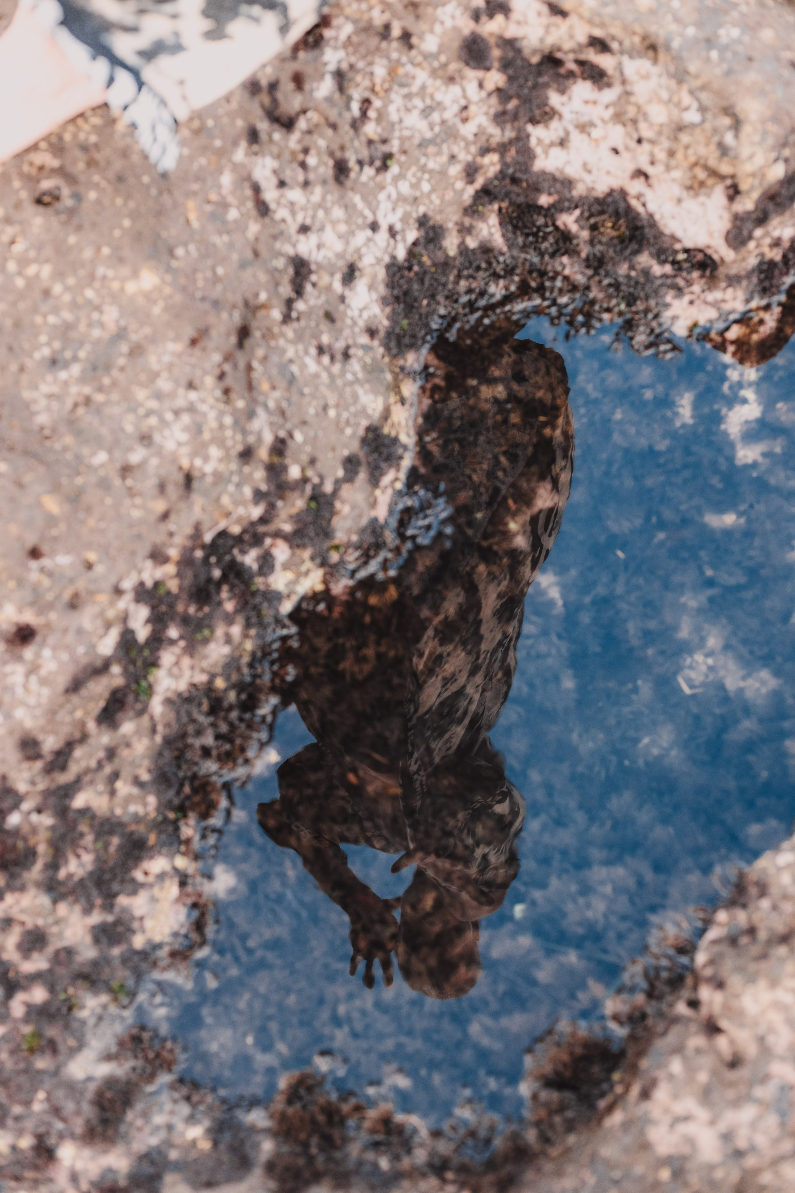 Aleksandr and power. Mariam Bagdasaryan