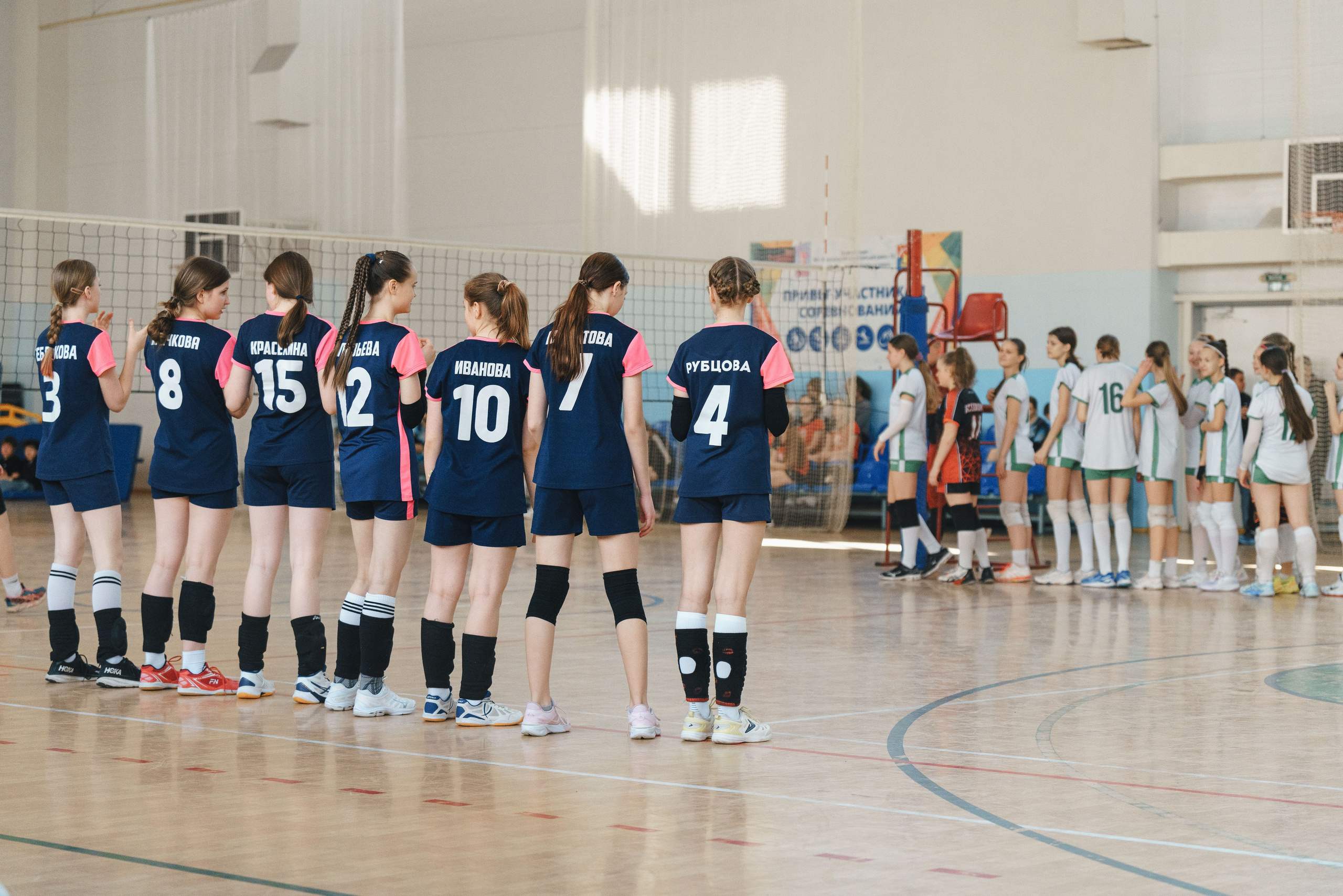 Волейбол торус. Фотограф-анималист в Санкт-Петербурге