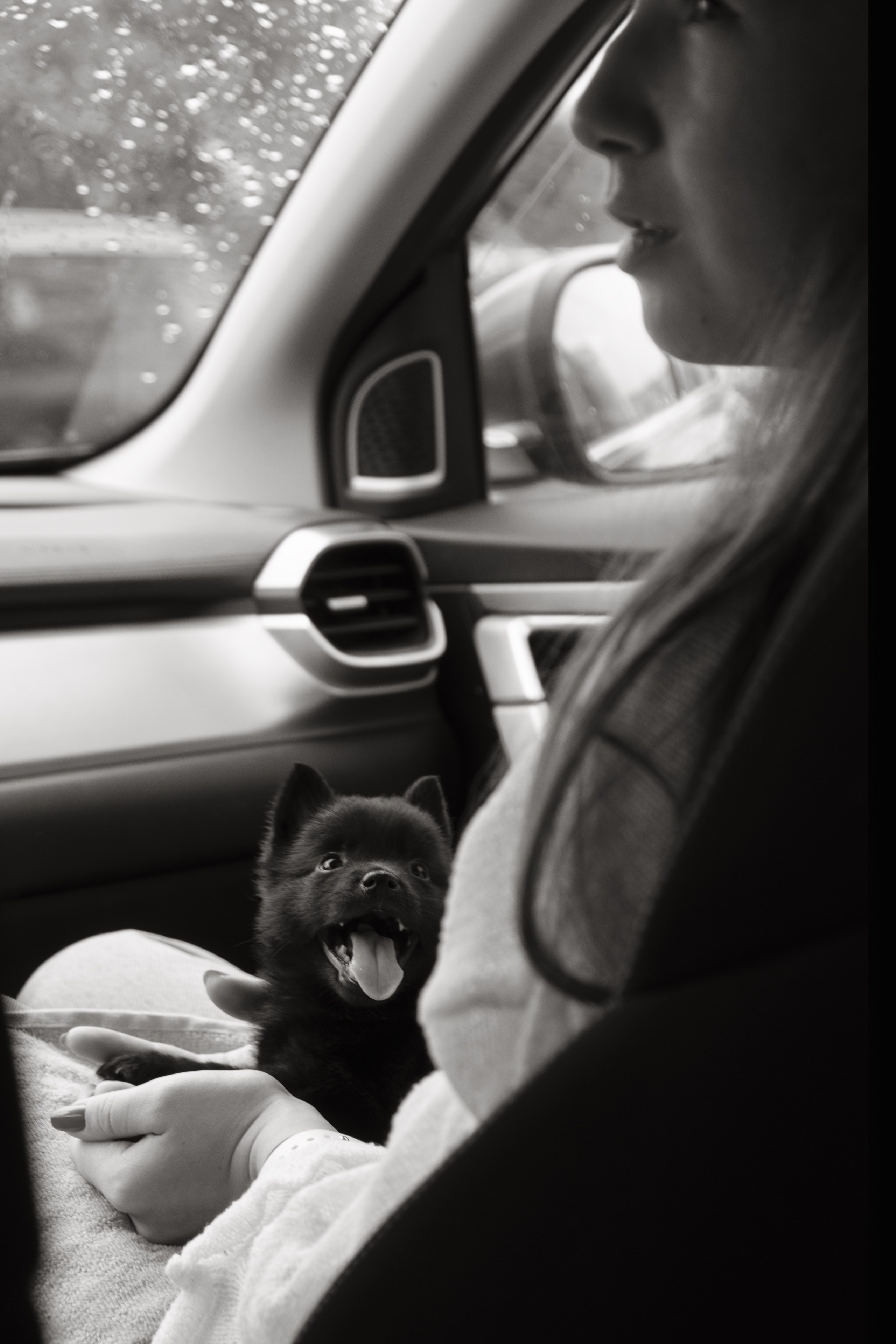 Animalism. Nataresso | фотограф Москва