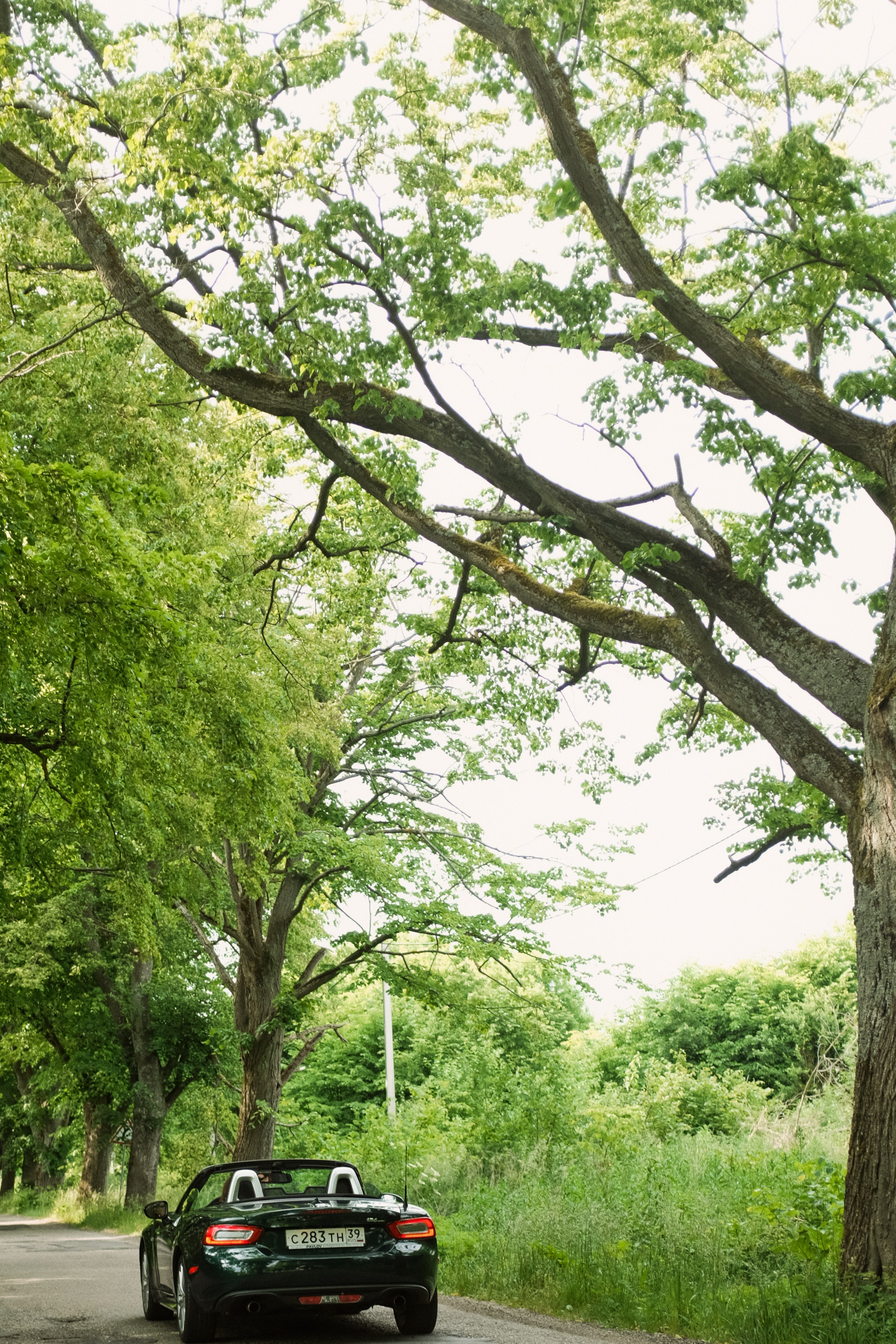 Маки. Wed Photographers 📷 Saint Petersburg