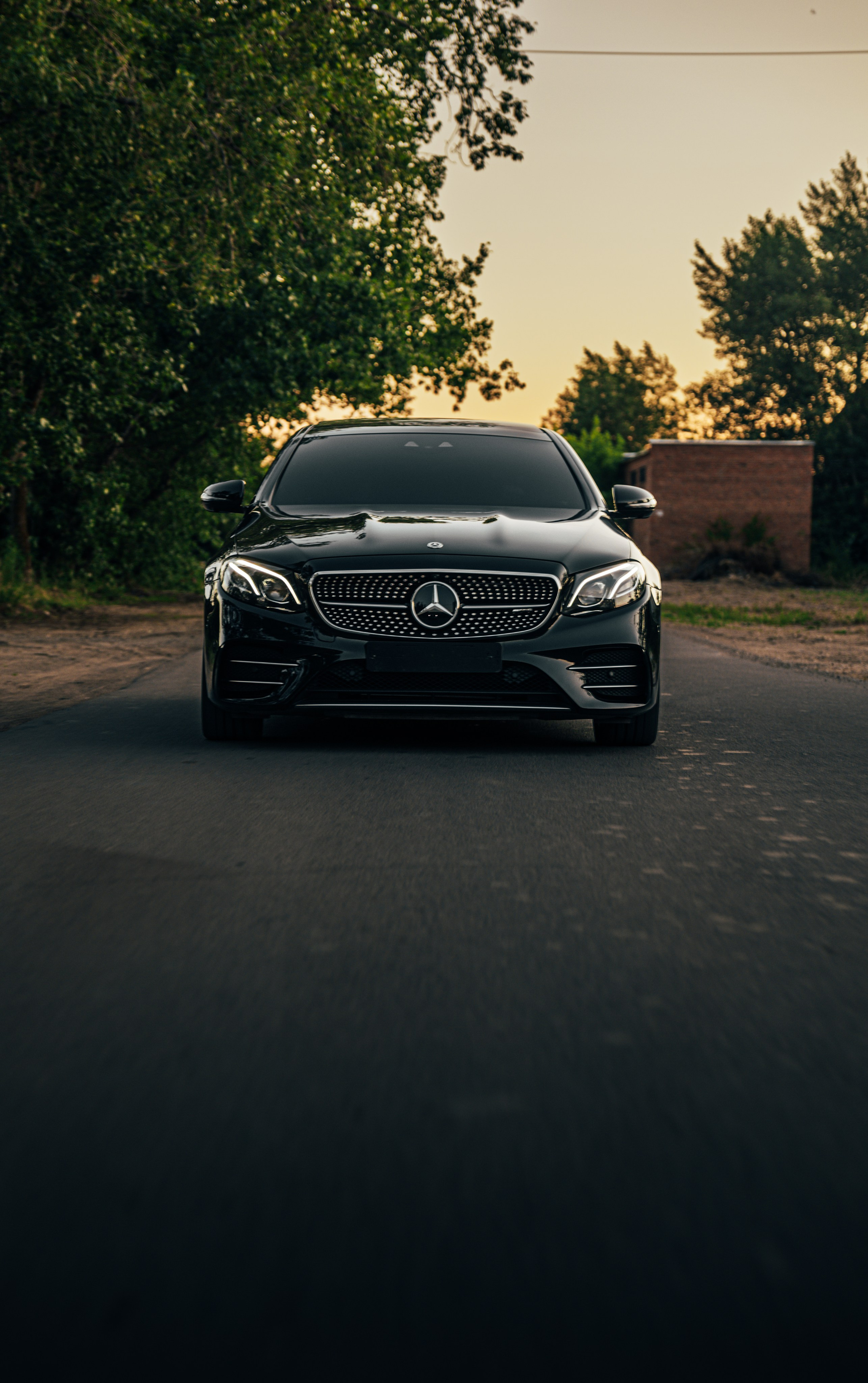 E53. Denis.dd