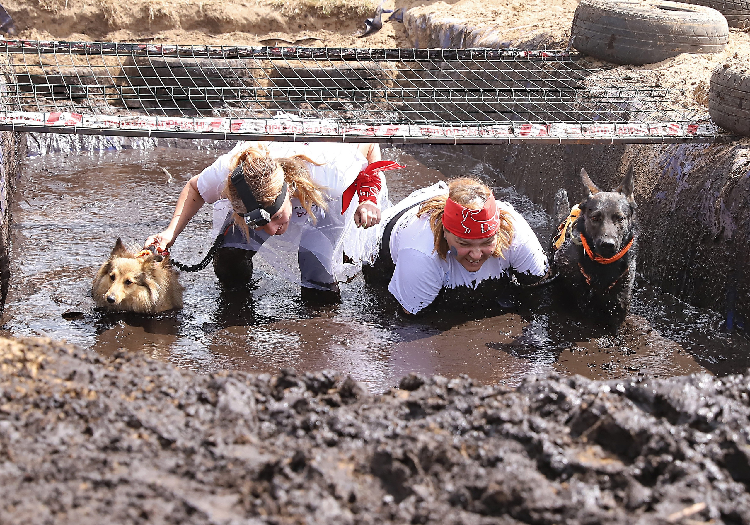 Хвостатый драйв. Семейный и детский фотограф в Москве и МО Елена Москвичева