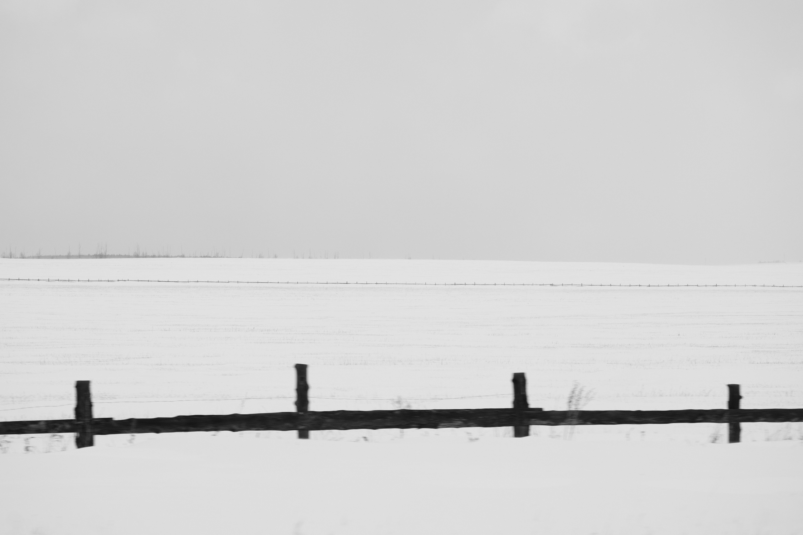 Silence. Irina Borodina